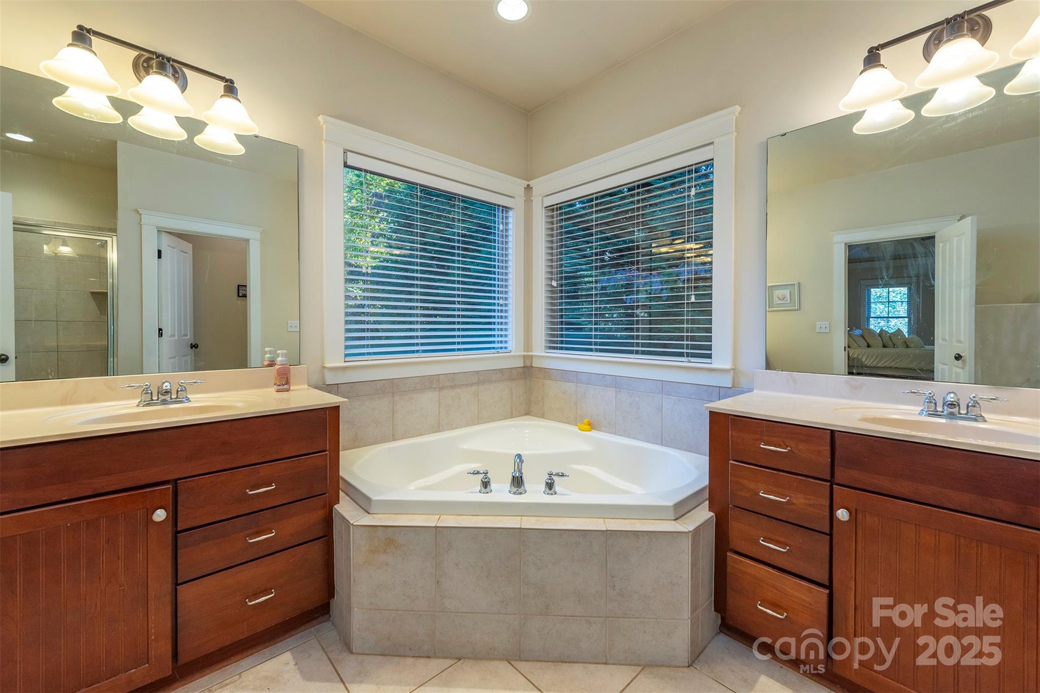 4 Yellow Owl Court — Biltmore Lake