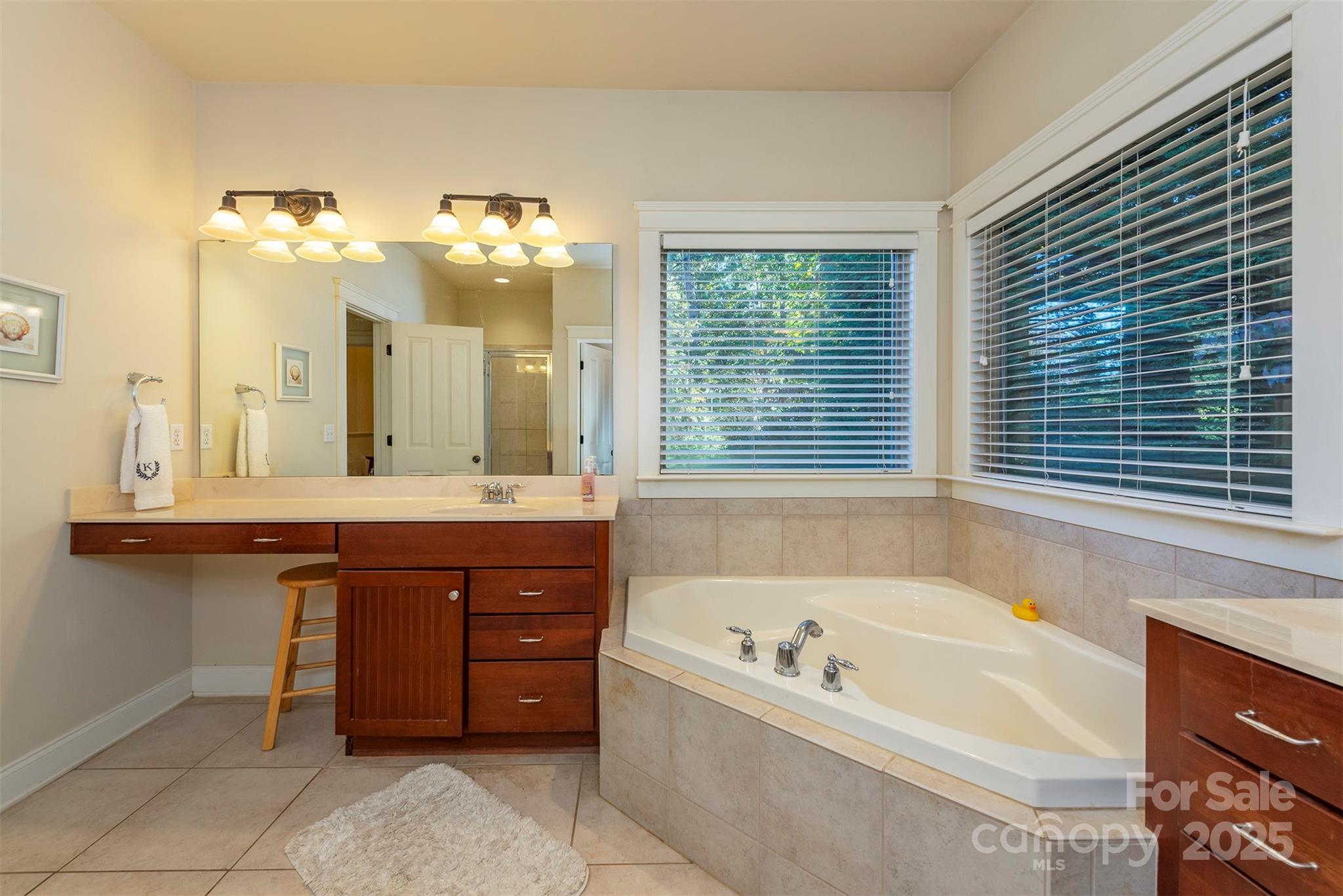 4 Yellow Owl Court — Biltmore Lake