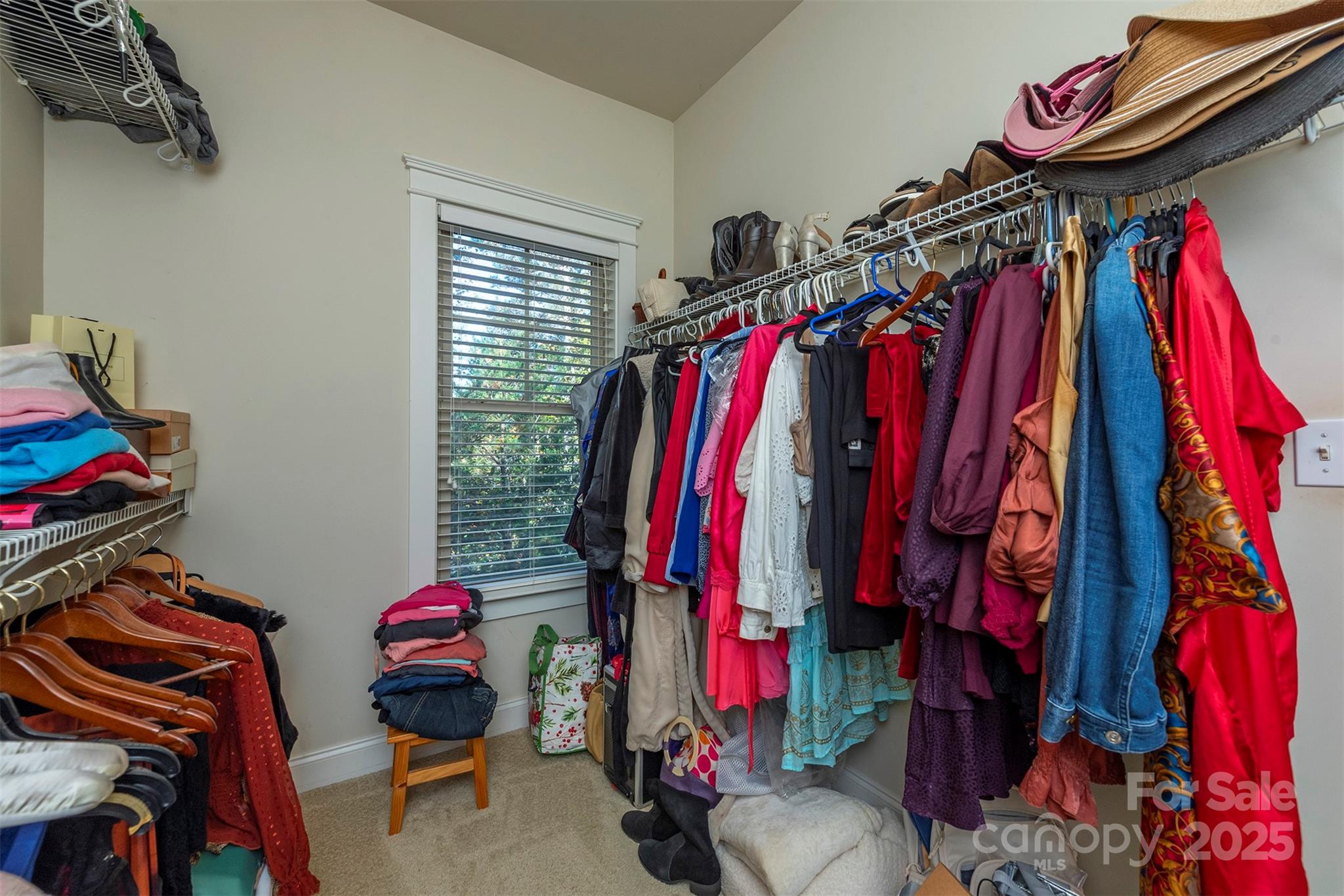 4 Yellow Owl Court — Biltmore Lake