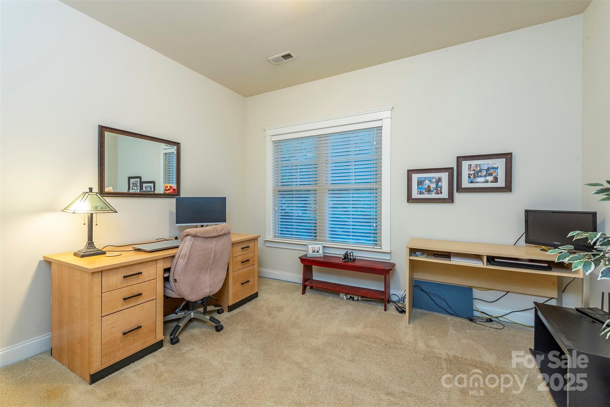 4 Yellow Owl Court — Biltmore Lake