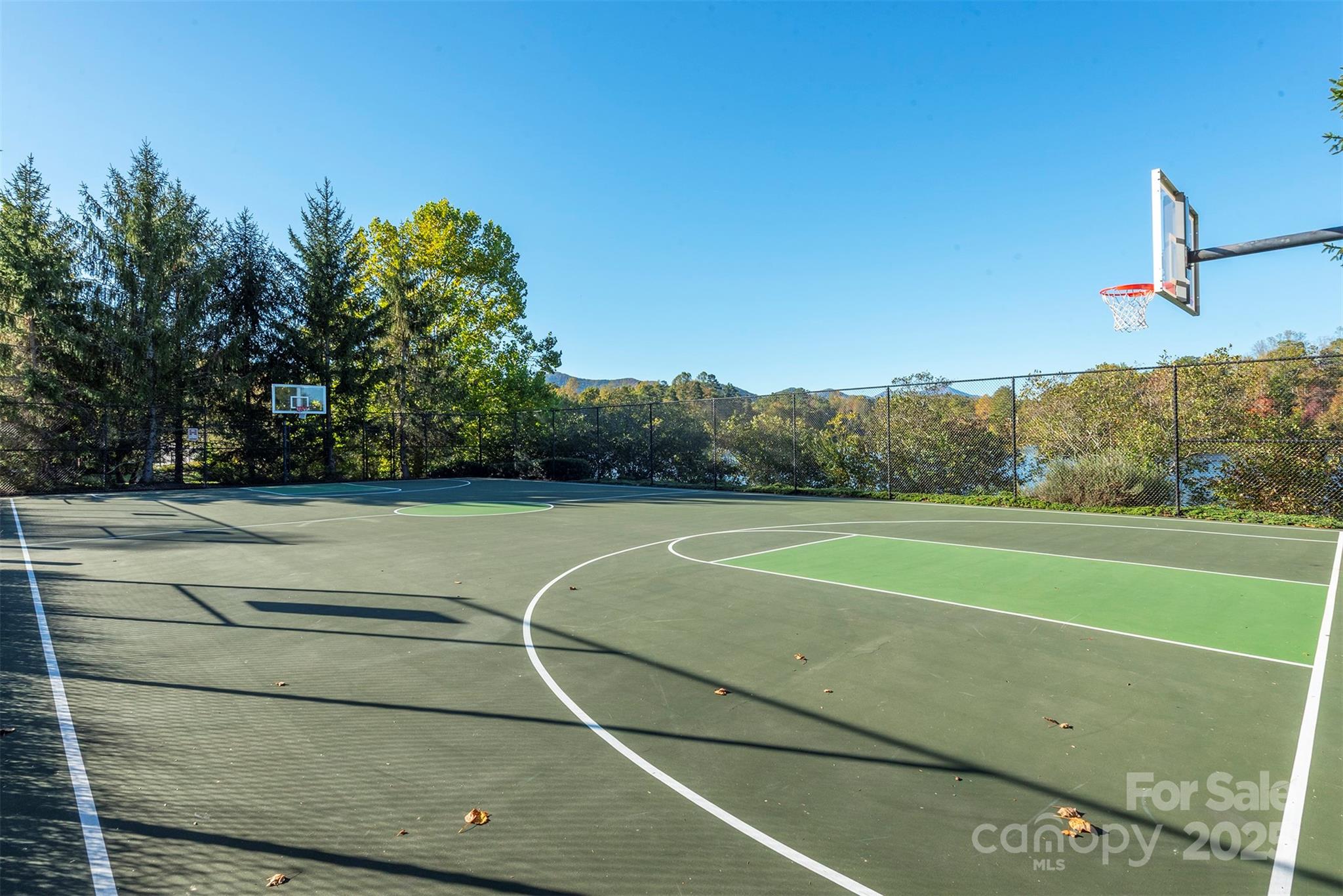 4 Yellow Owl Court — Biltmore Lake