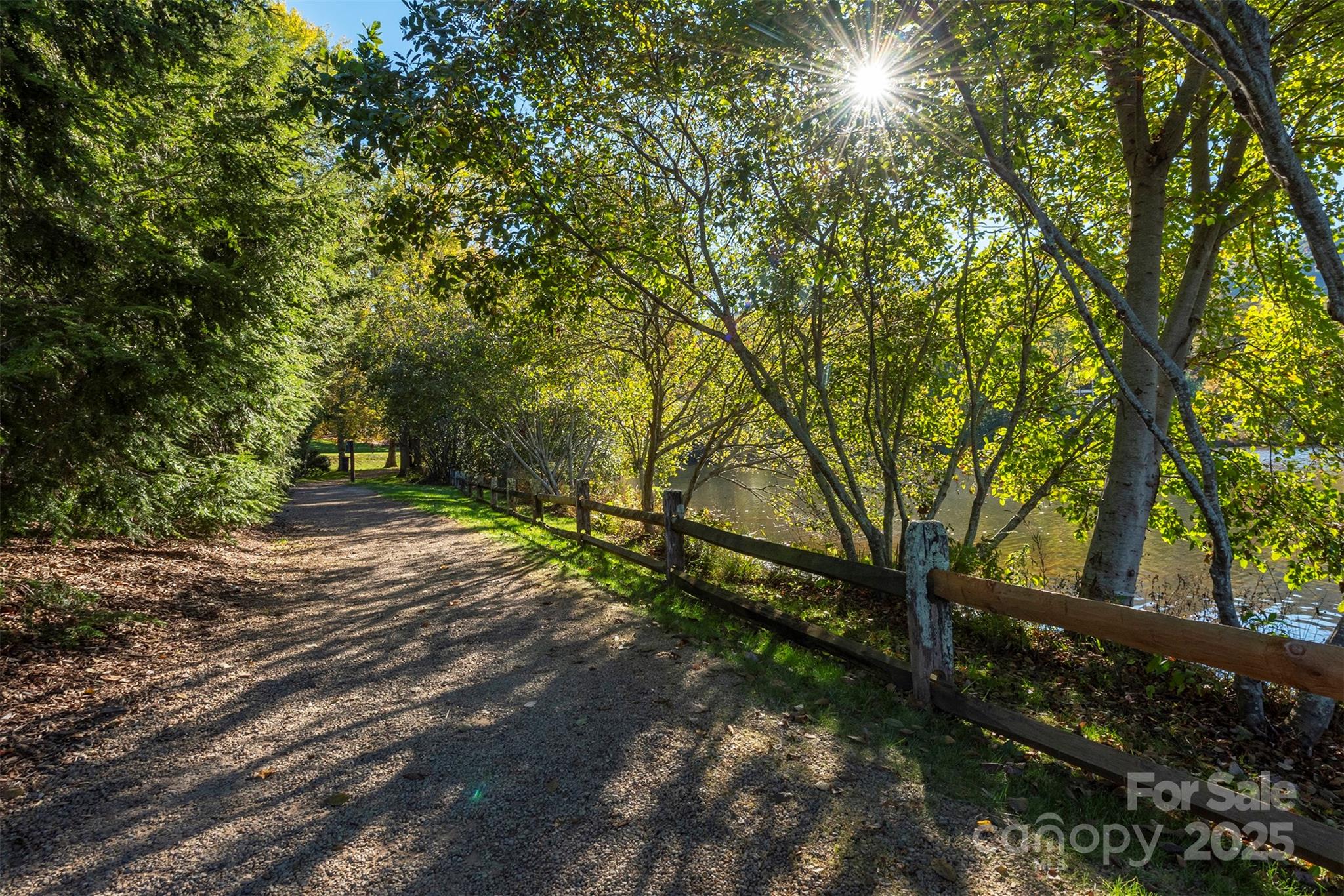 4 Yellow Owl Court — Biltmore Lake