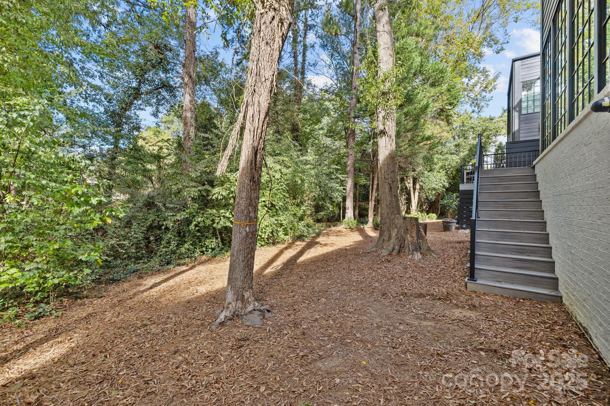 9004 Tynecastle Commons Court — Charlotte