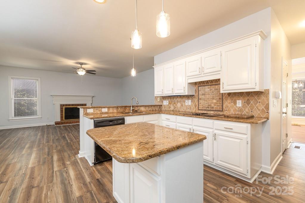 5238 Downing Creek Drive — Charlotte