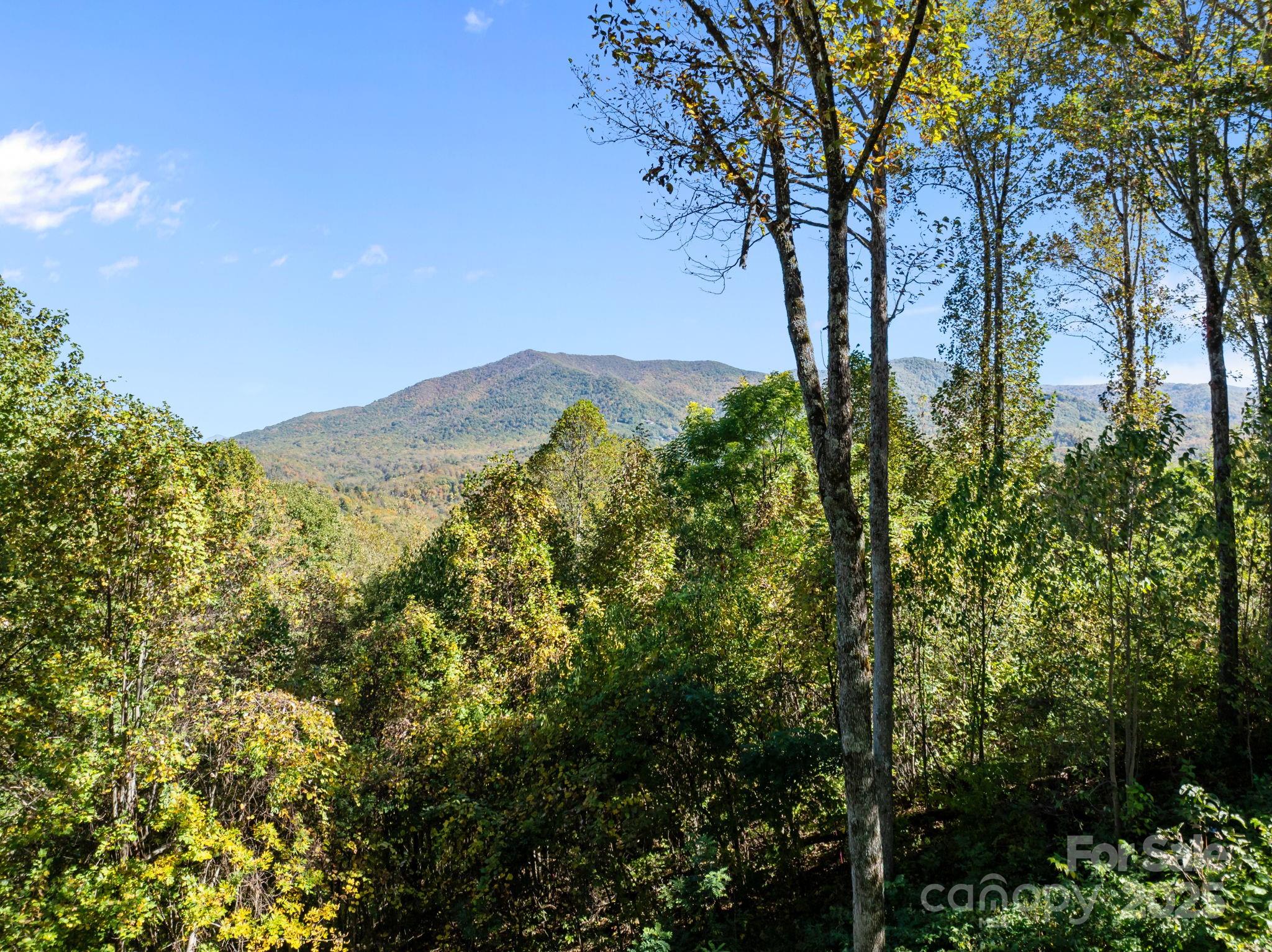 69 Blowing Ridge Lane — Sylva