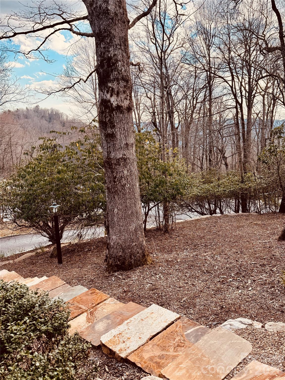 1955 Connestee Trail — Brevard