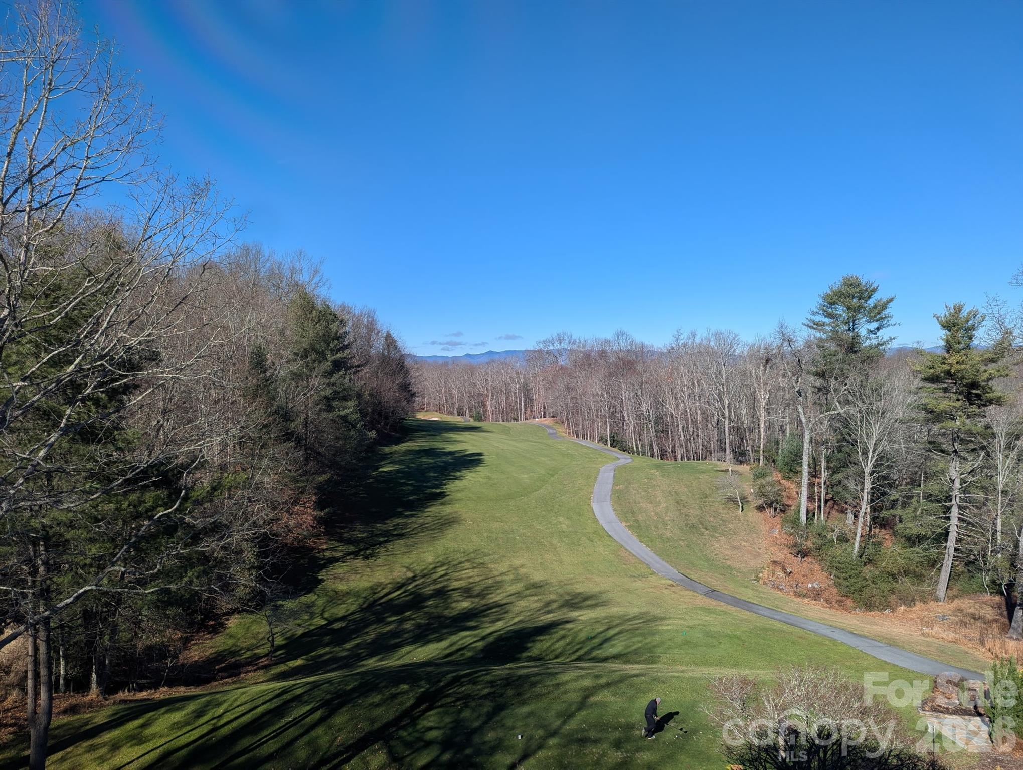 1955 Connestee Trail — Brevard