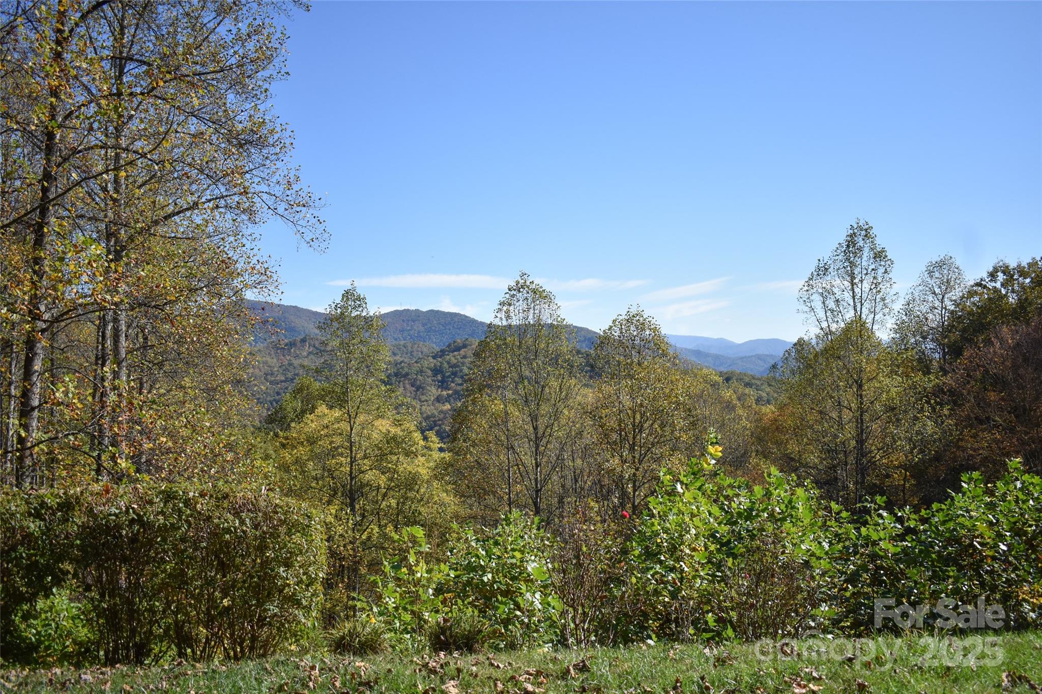 336 Berry Lane — Bryson City