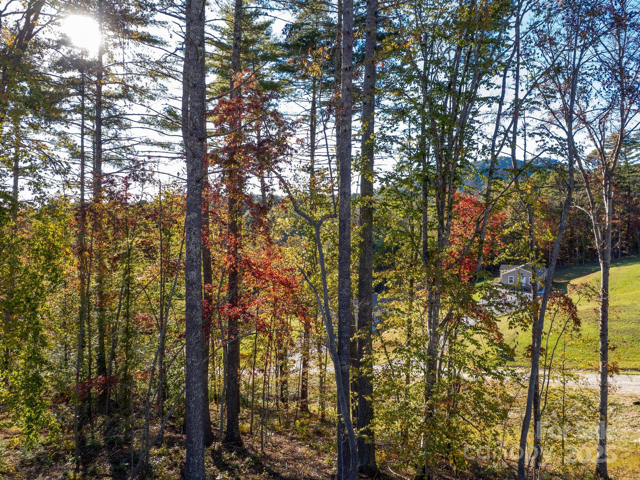 262 Appalachian Way — Mars Hill