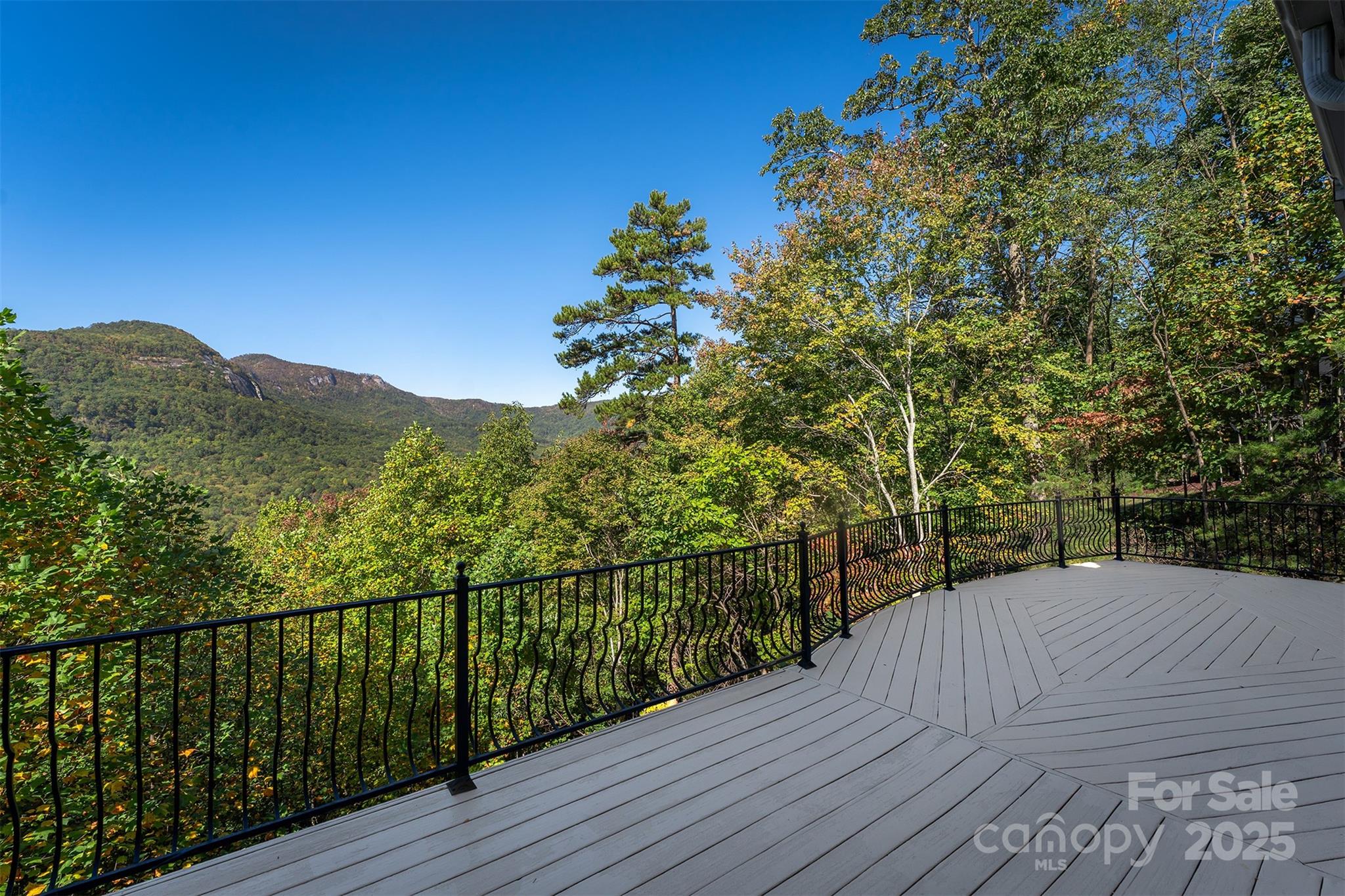 345 Hawks Nest Trail — Lake Lure
