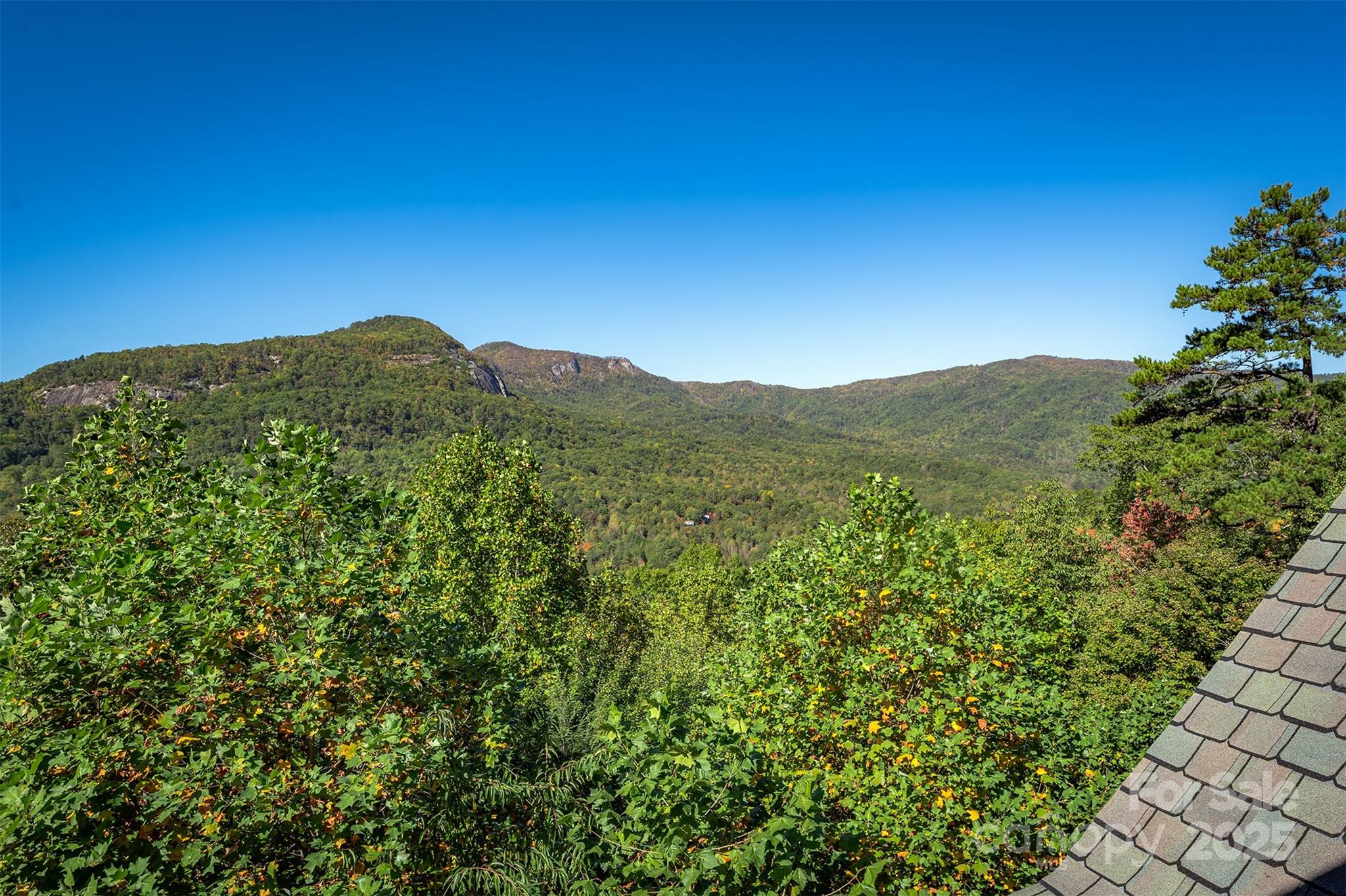 345 Hawks Nest Trail — Lake Lure