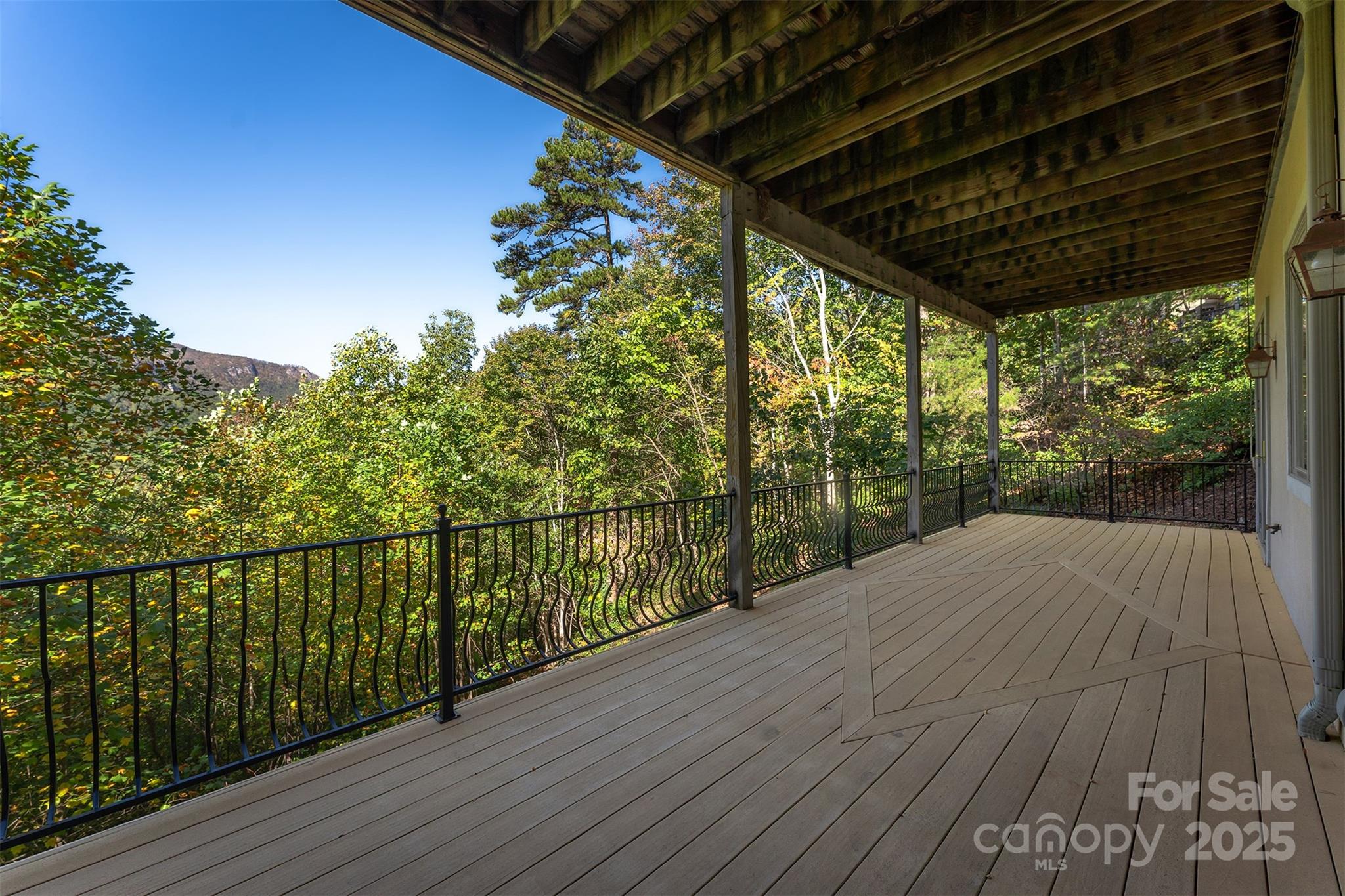 345 Hawks Nest Trail — Lake Lure