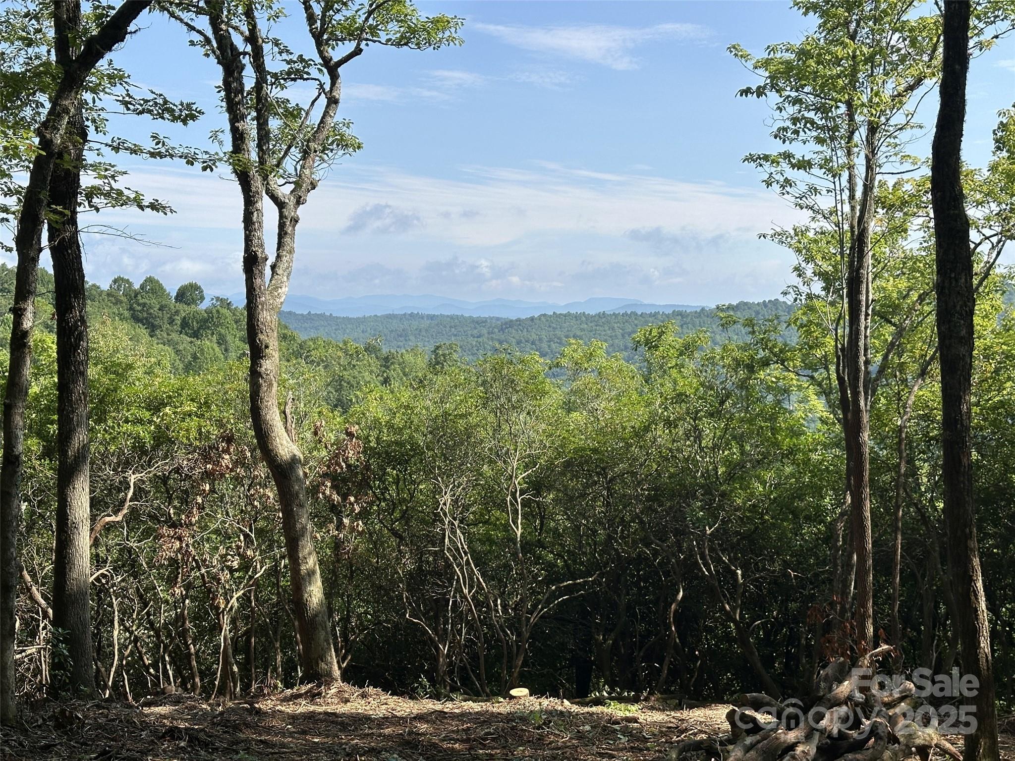 243 Ridgeline Drive — Brevard