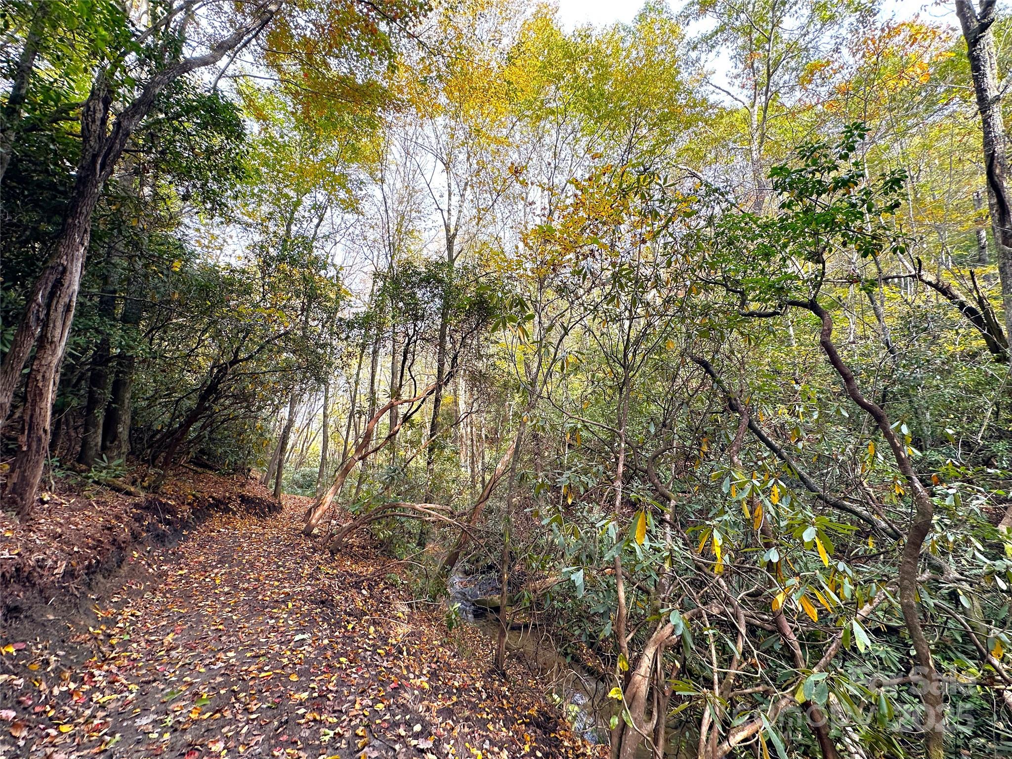 243 Ridgeline Drive — Brevard