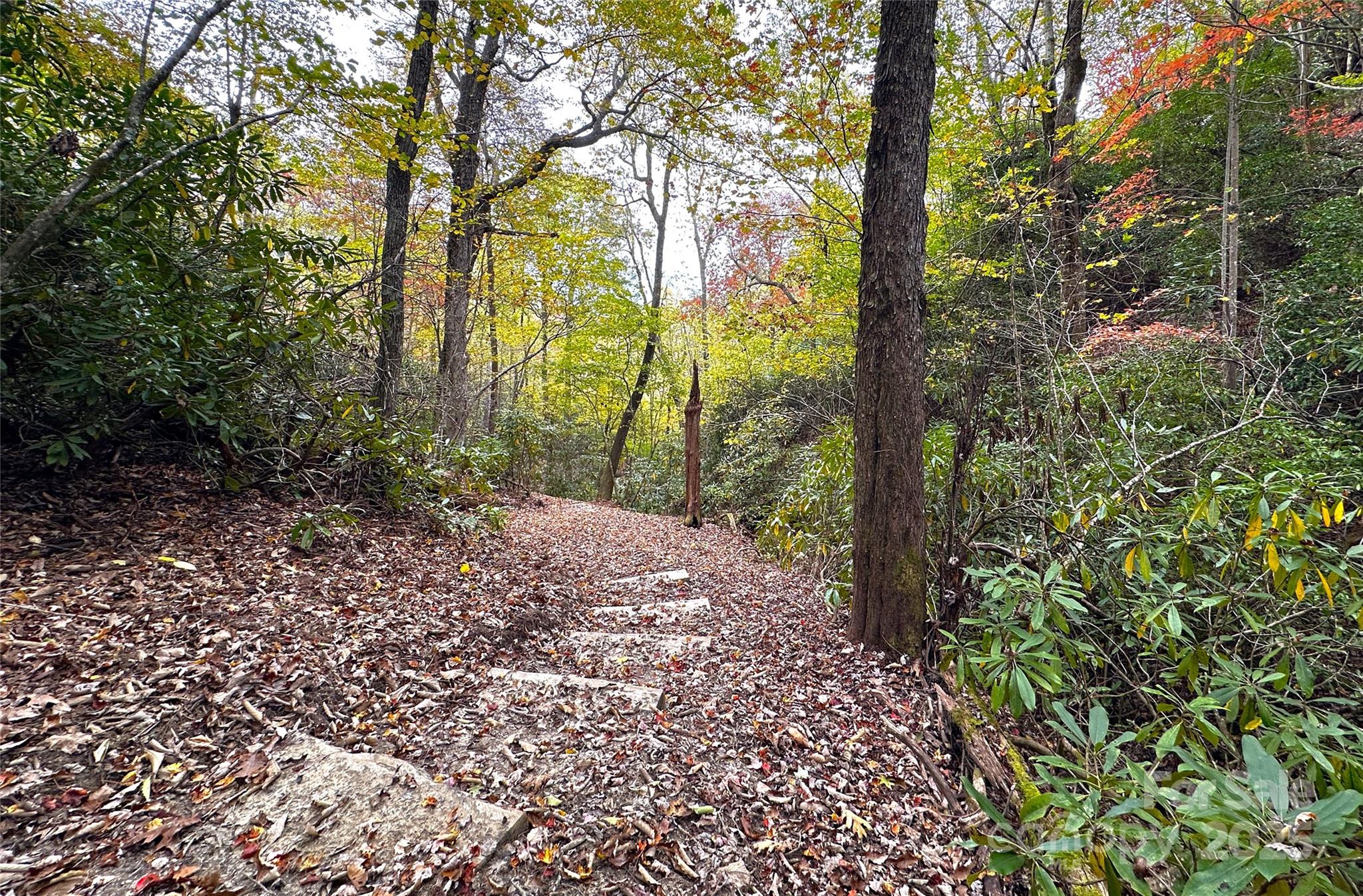 243 Ridgeline Drive — Brevard