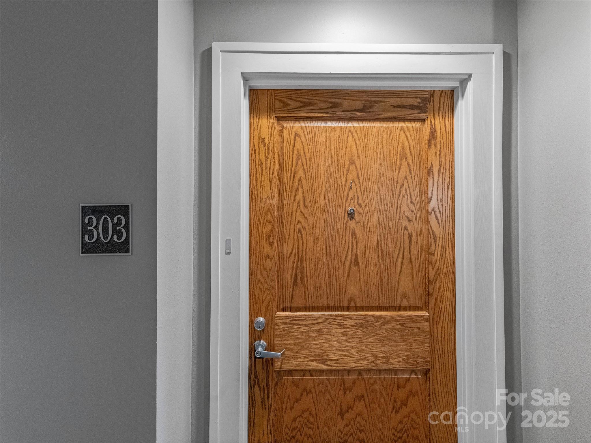 84 W Walnut Street #303 — Asheville