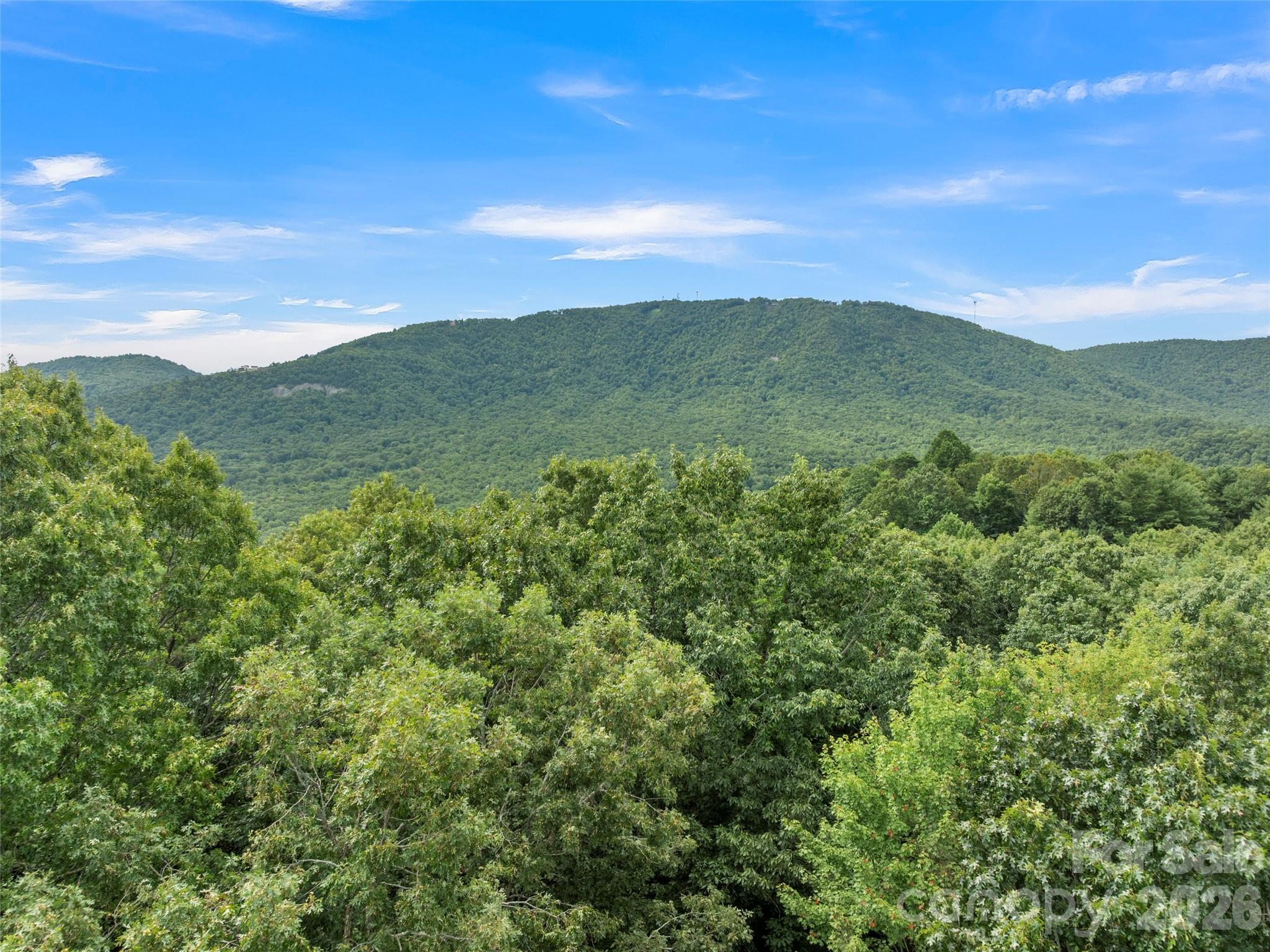 812 Crab Creek Road — Hendersonville