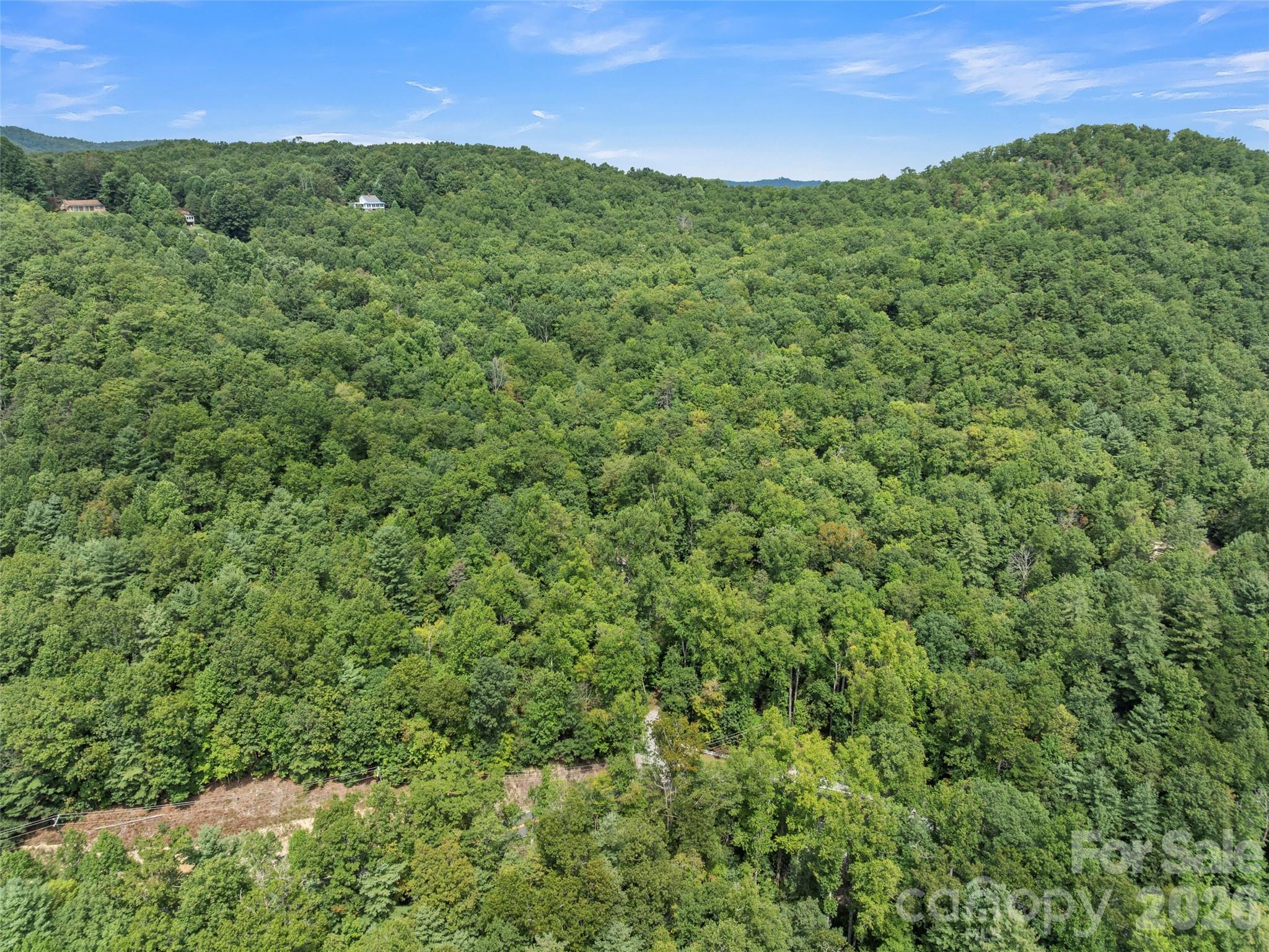 812 Crab Creek Road — Hendersonville