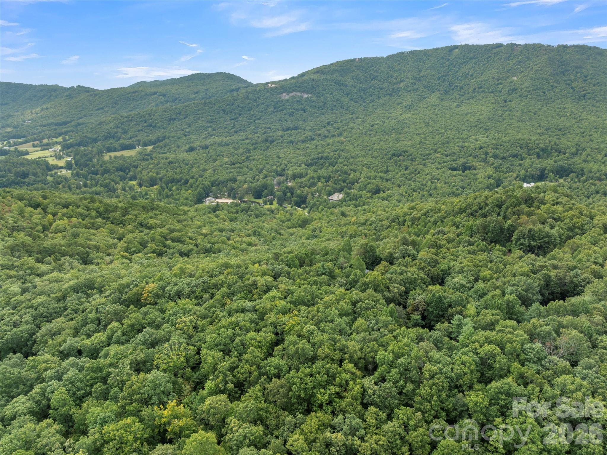 812 Crab Creek Road — Hendersonville
