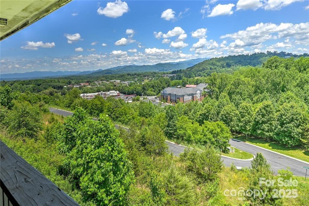 29 Rotunda Circle — Asheville