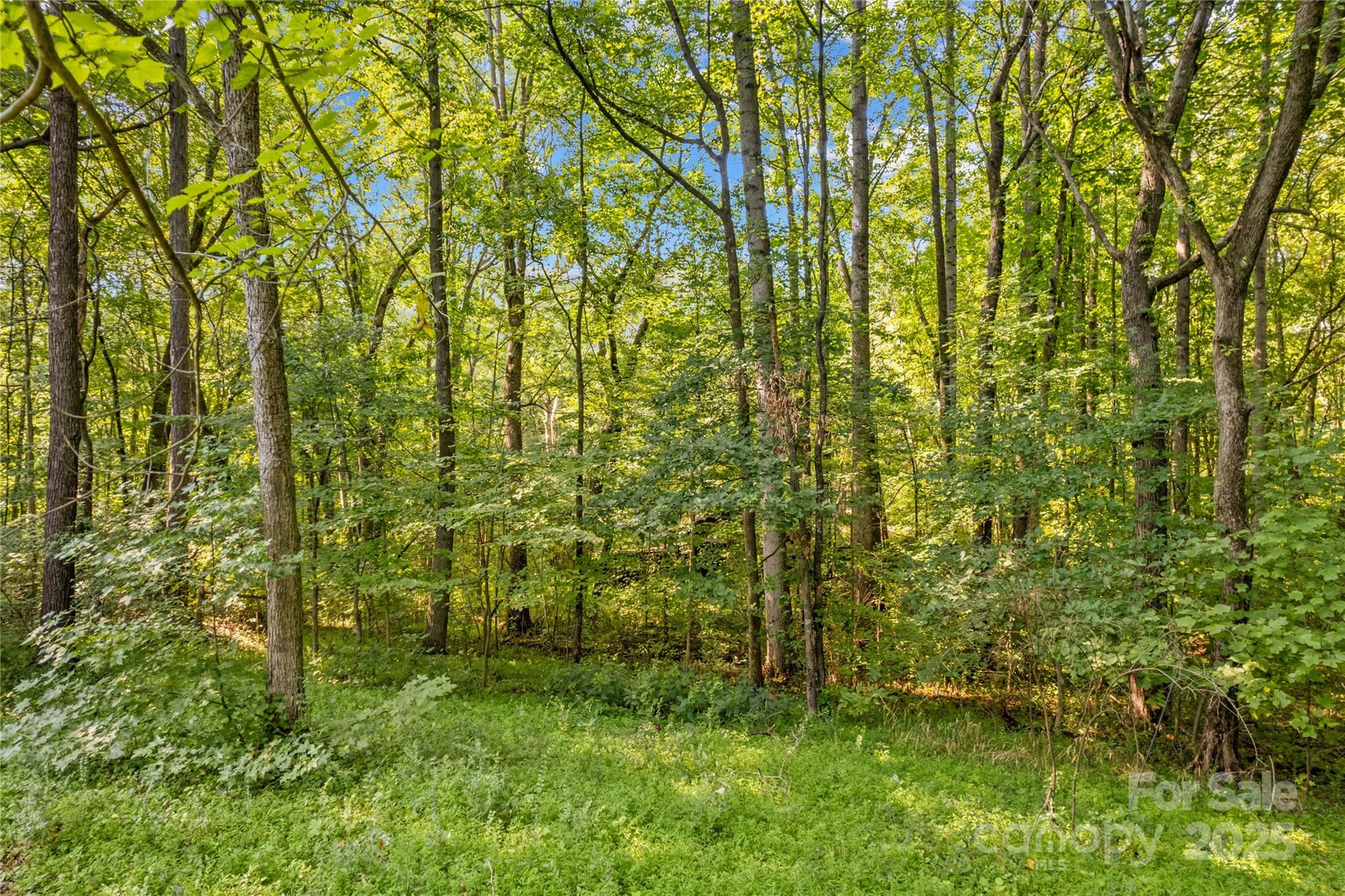 265 Rocky River Road — Mooresville
