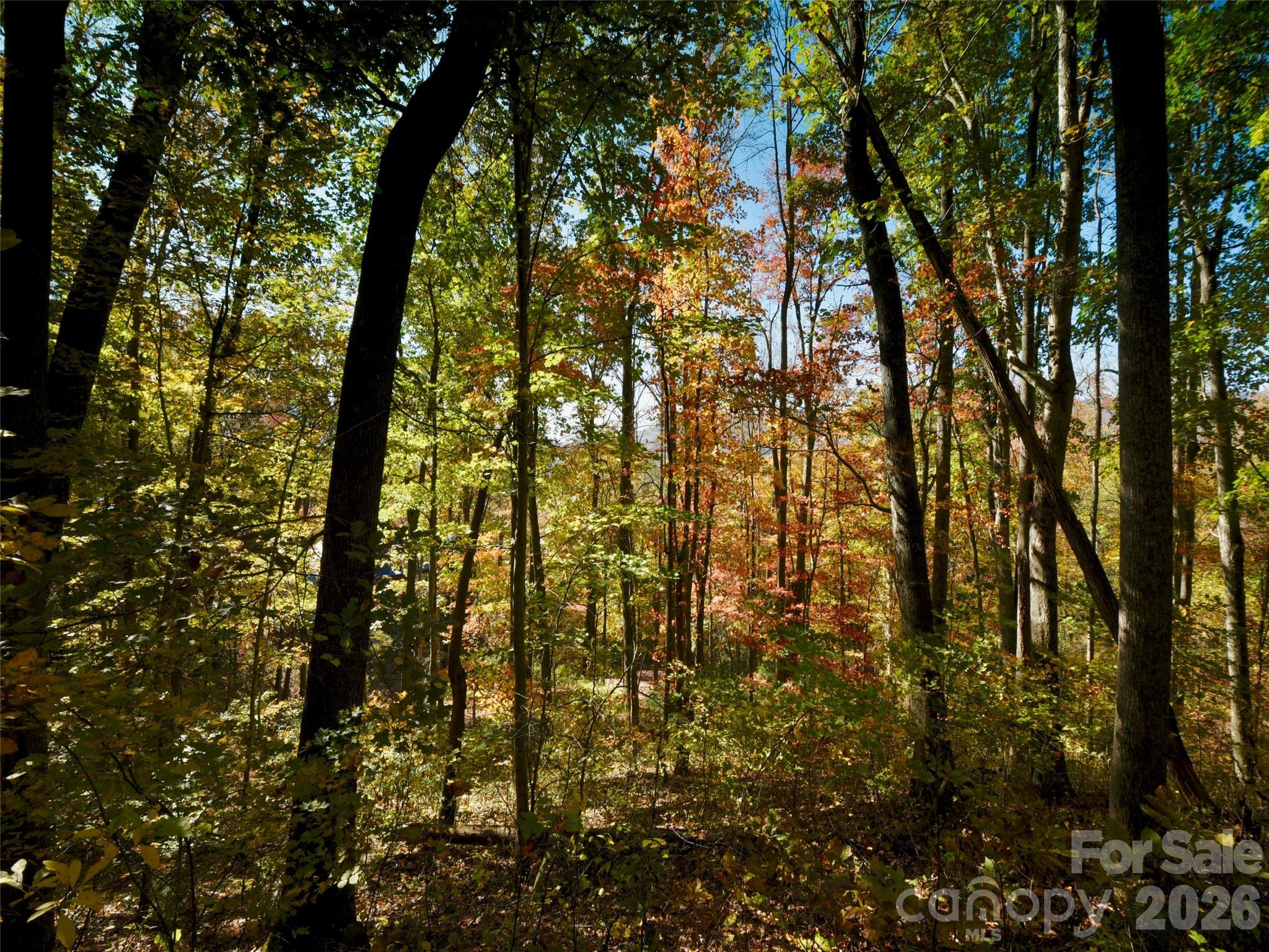 841 Blackthorne Lane — Arden
