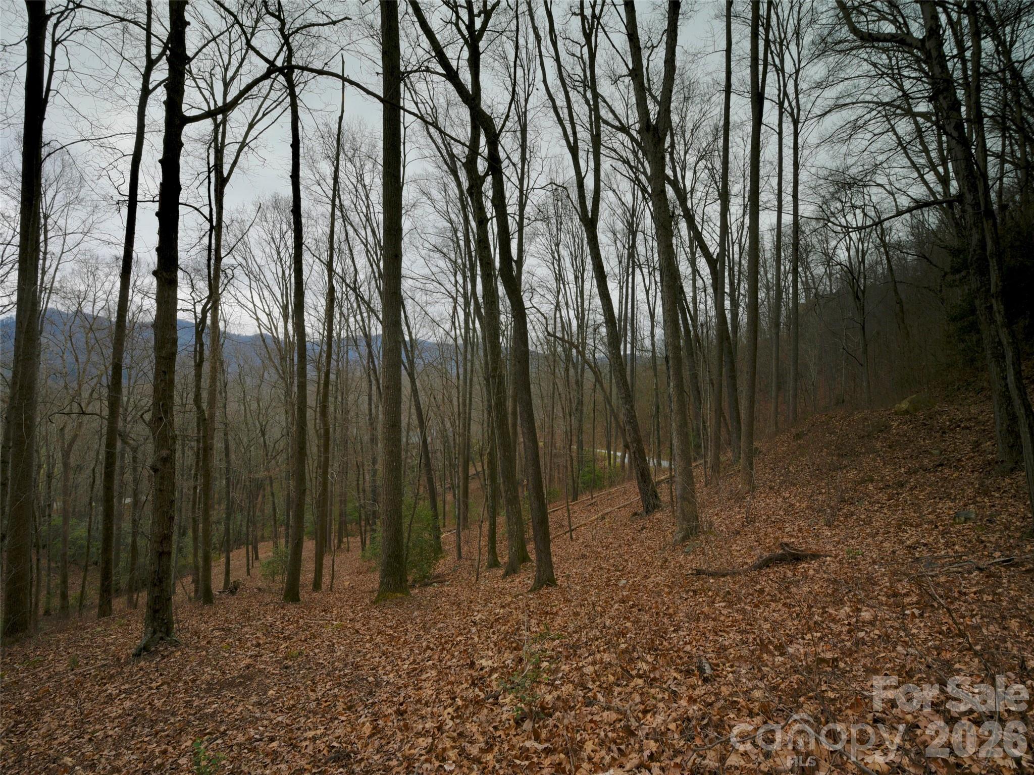 841 Blackthorne Lane — Arden
