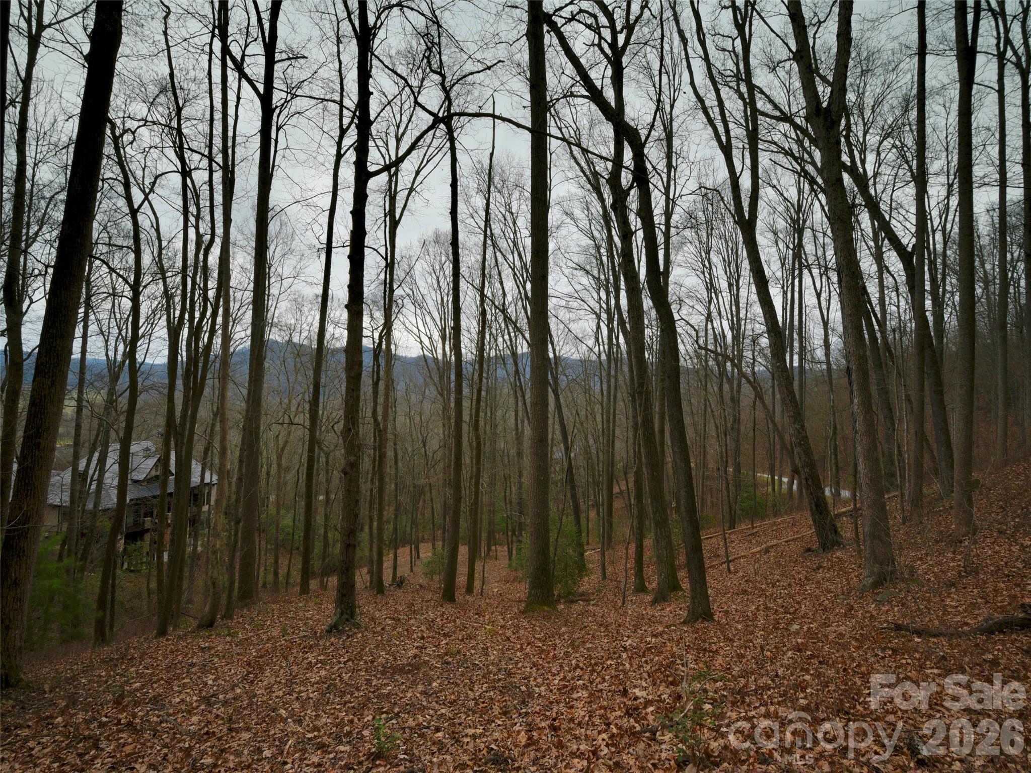841 Blackthorne Lane — Arden