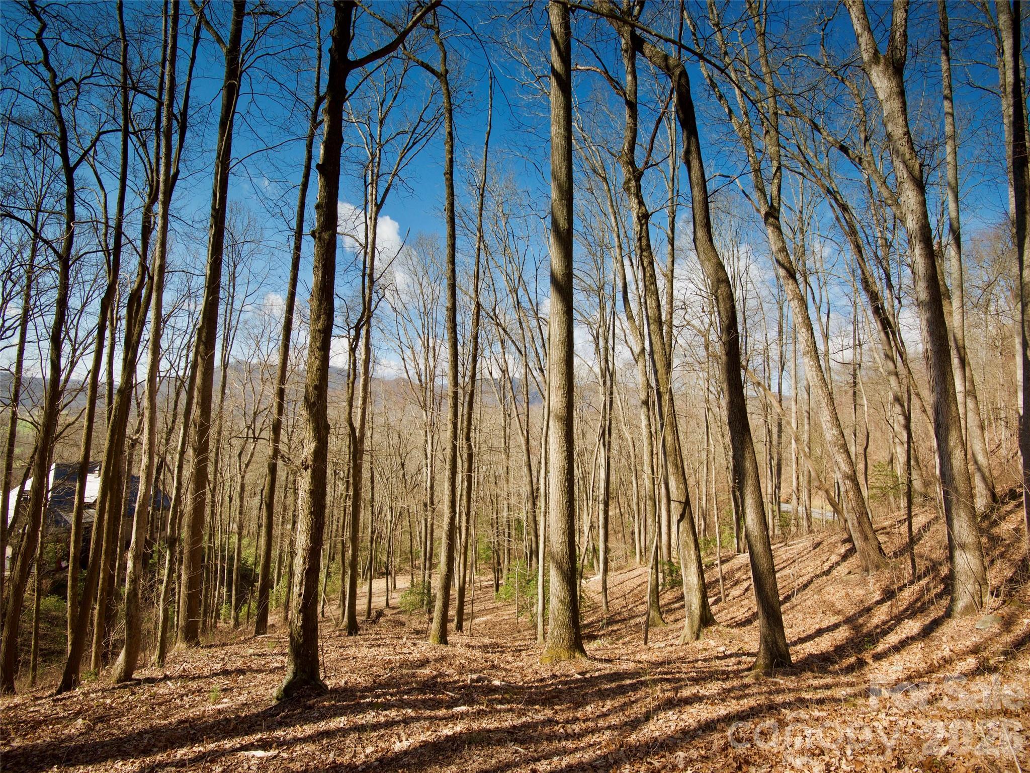 841 Blackthorne Lane — Arden