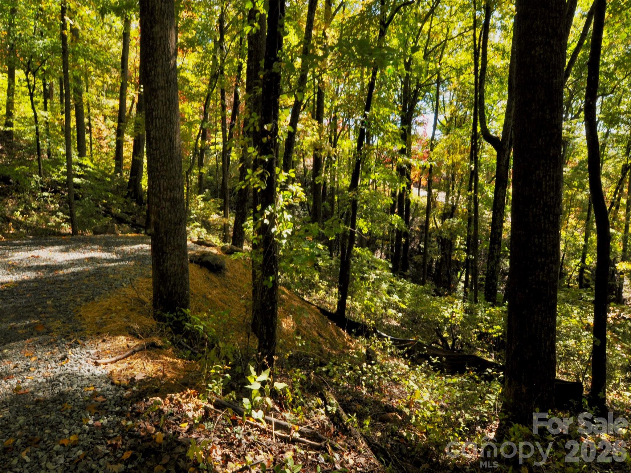 841 Blackthorne Lane — Arden