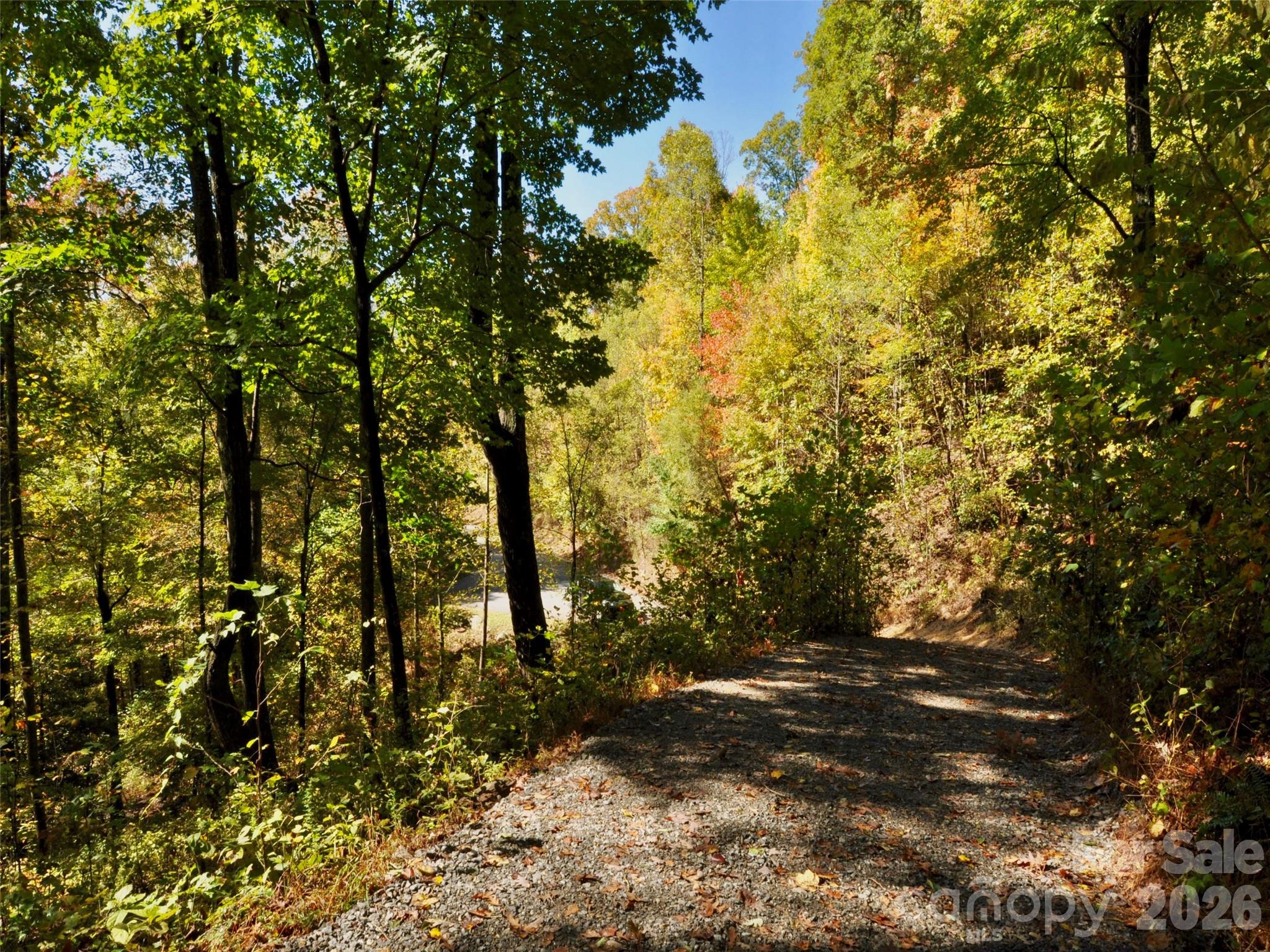 841 Blackthorne Lane — Arden