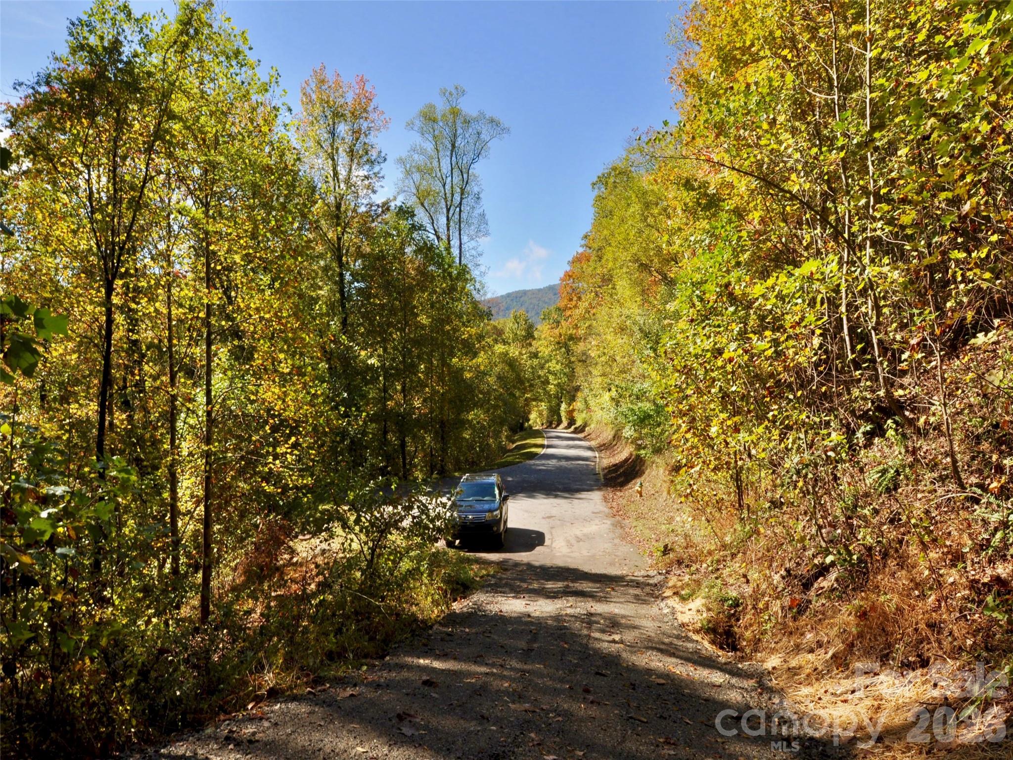 841 Blackthorne Lane — Arden