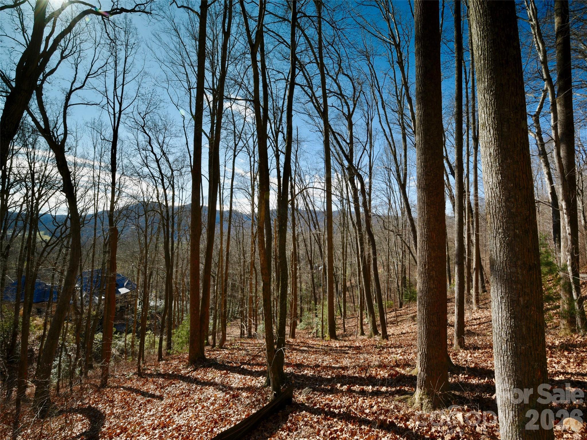 841 Blackthorne Lane — Arden