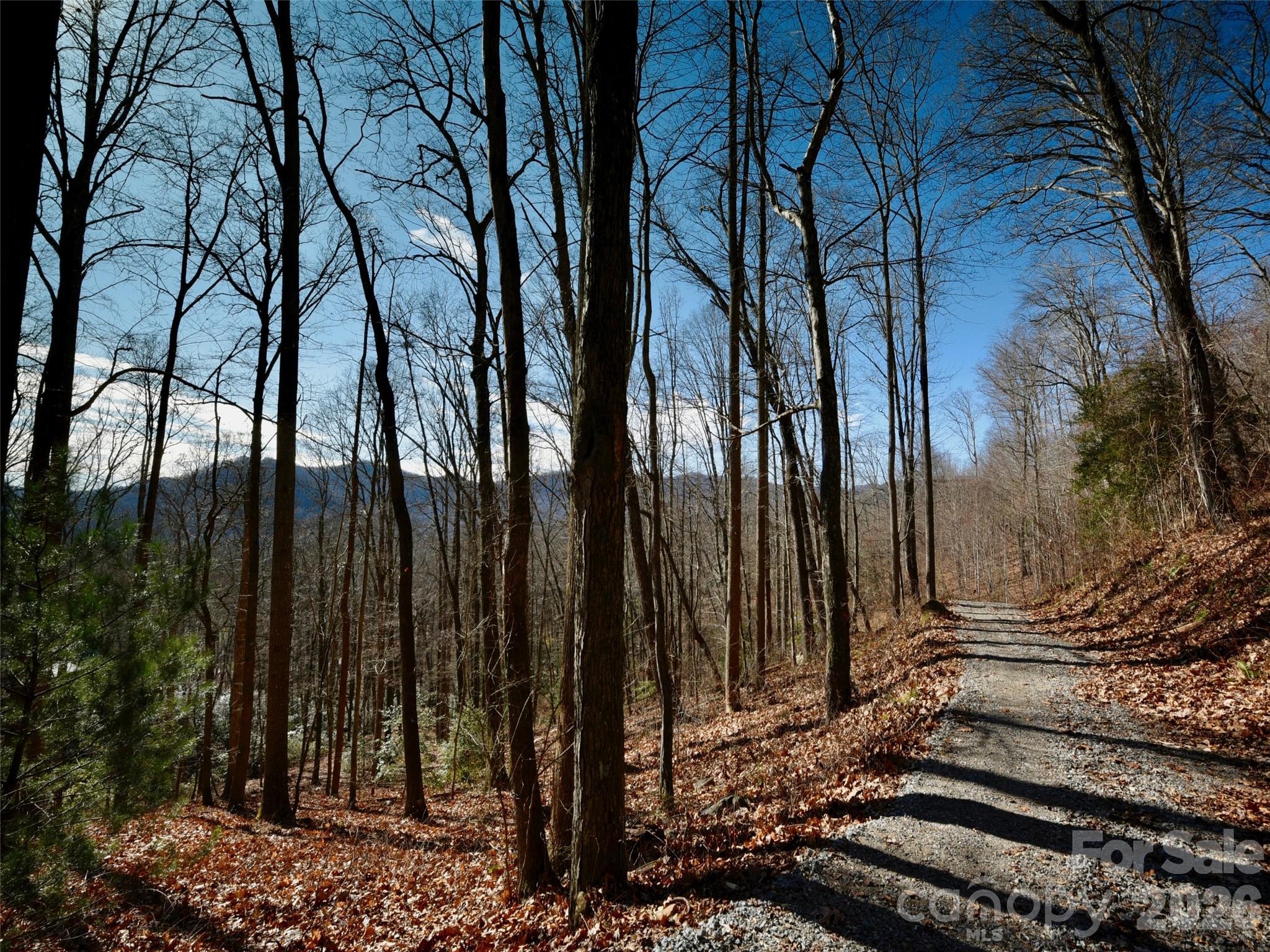 841 Blackthorne Lane — Arden