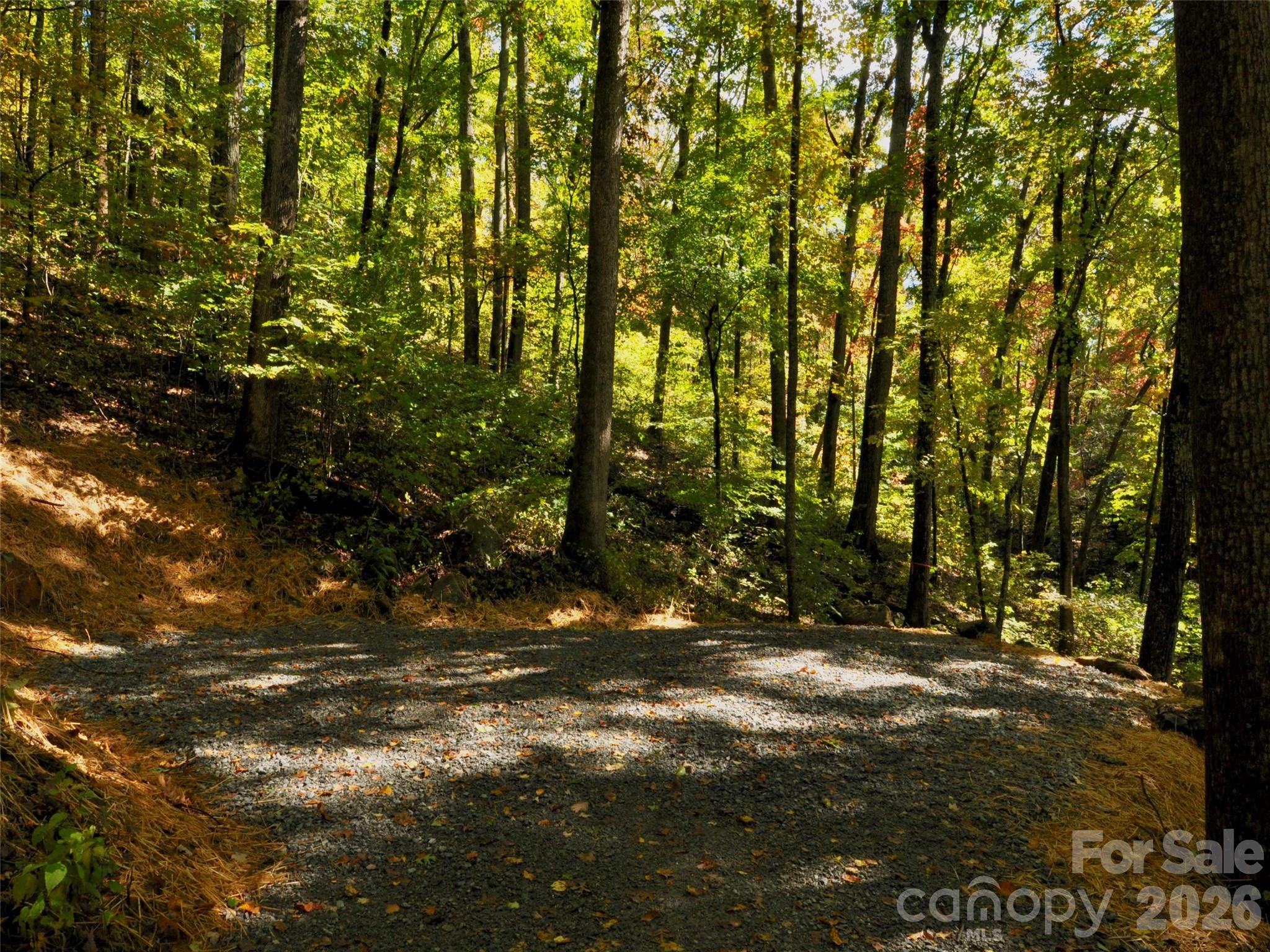 841 Blackthorne Lane — Arden