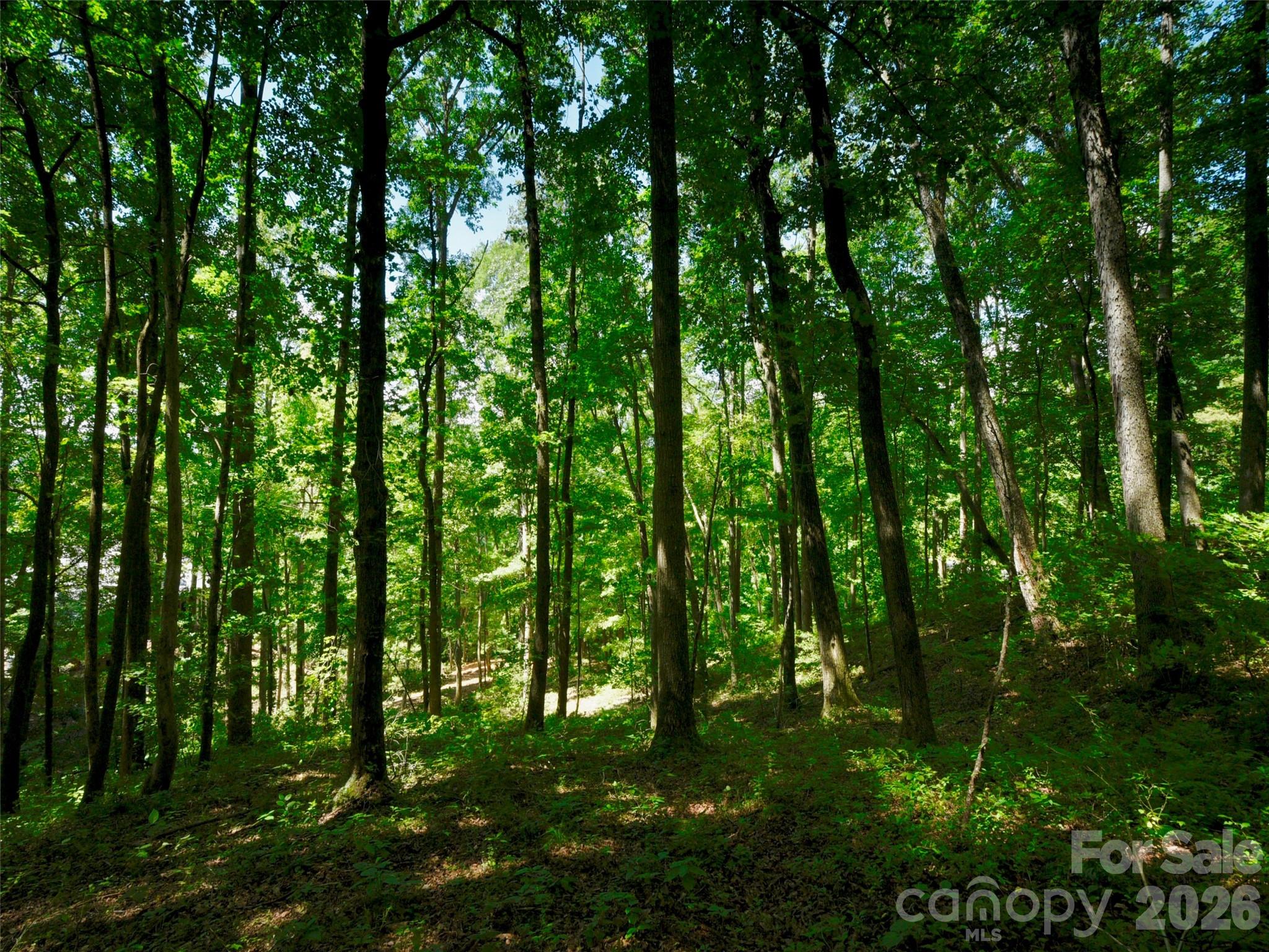 841 Blackthorne Lane — Arden