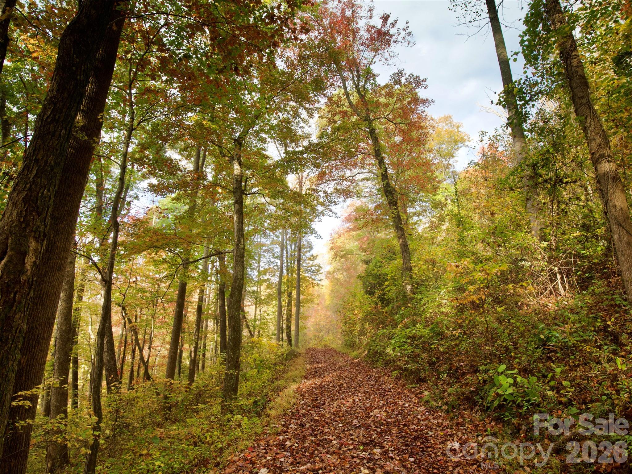 841 Blackthorne Lane — Arden