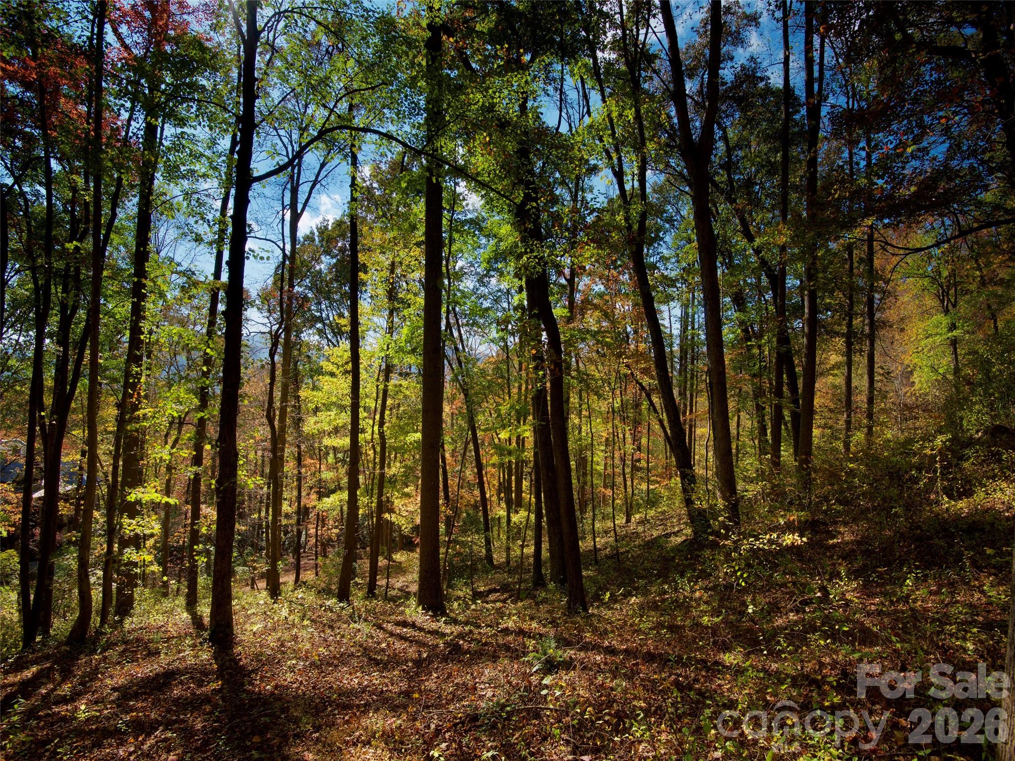 841 Blackthorne Lane — Arden