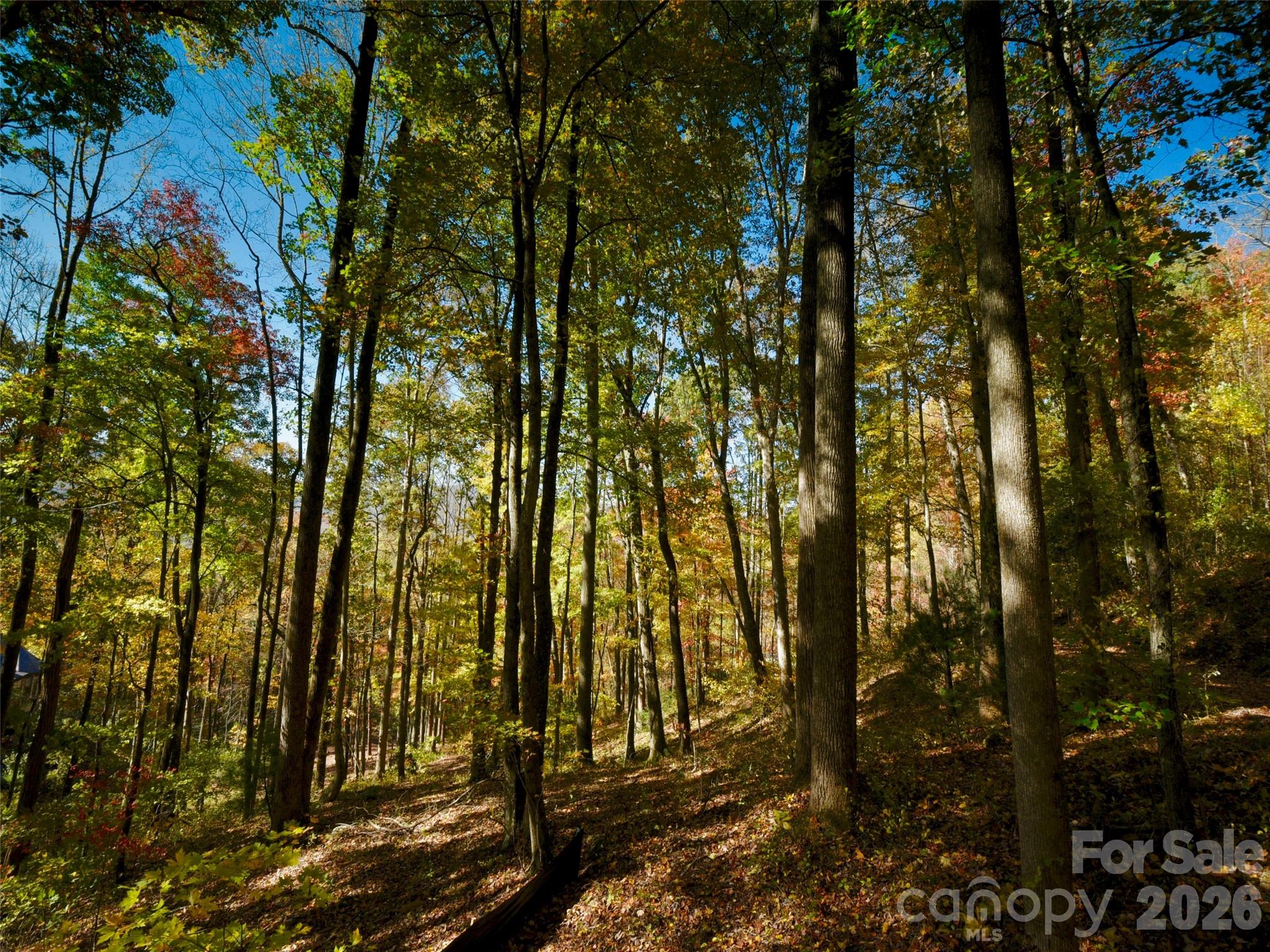 841 Blackthorne Lane — Arden