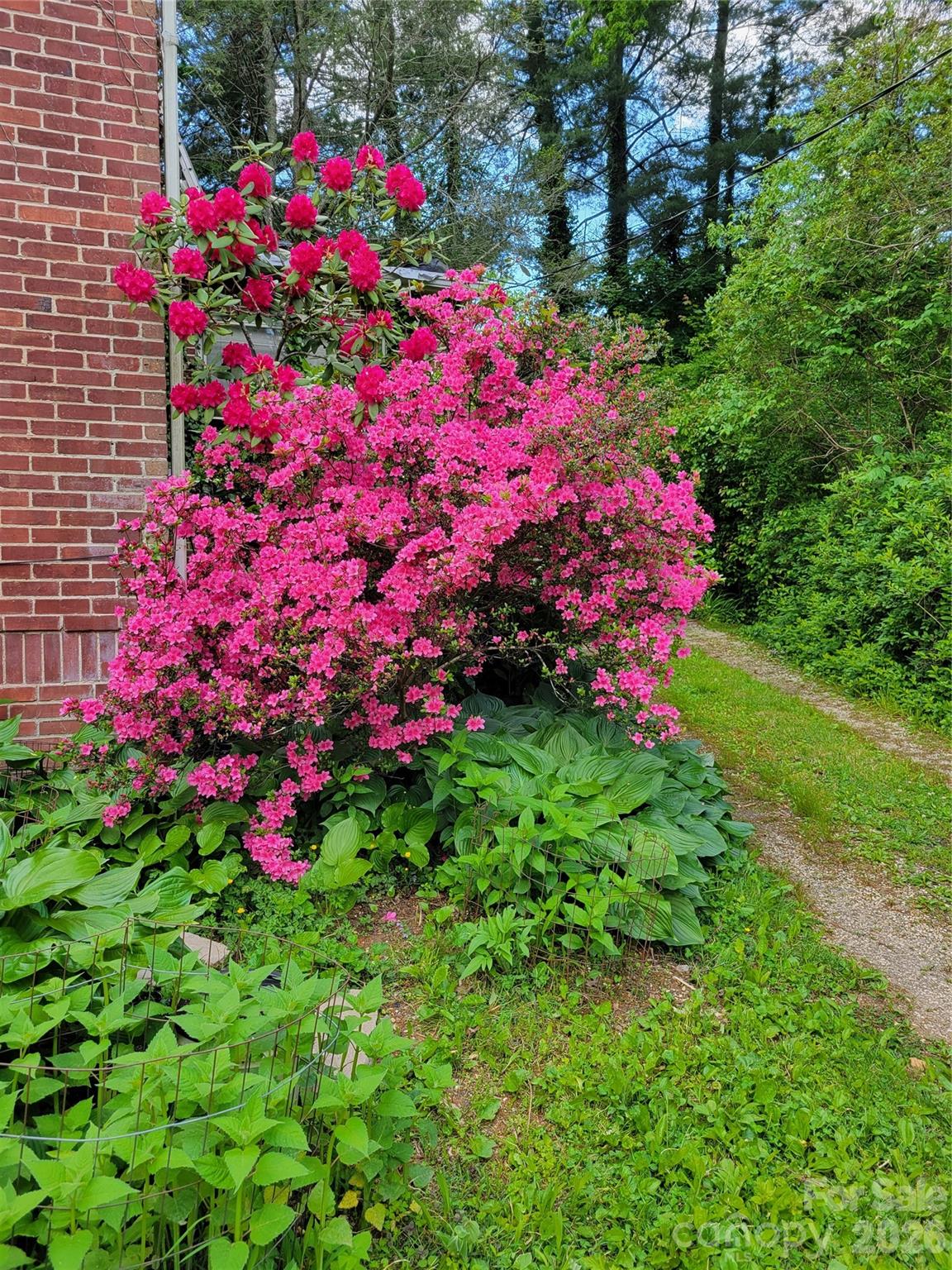 414 Beaucatcher Road — Asheville