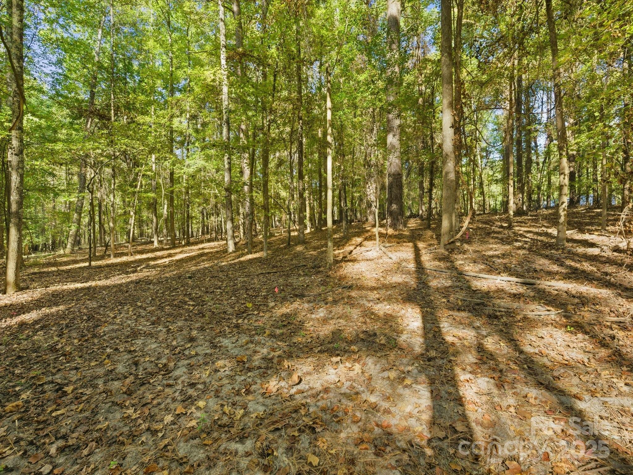00 Rehobeth Road — Waxhaw