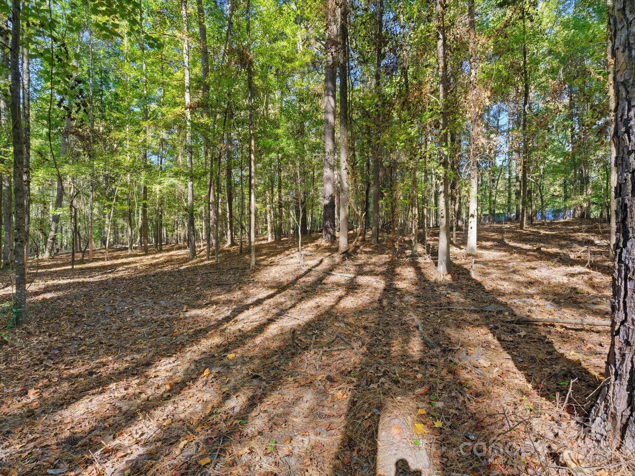 00 Rehobeth Road — Waxhaw