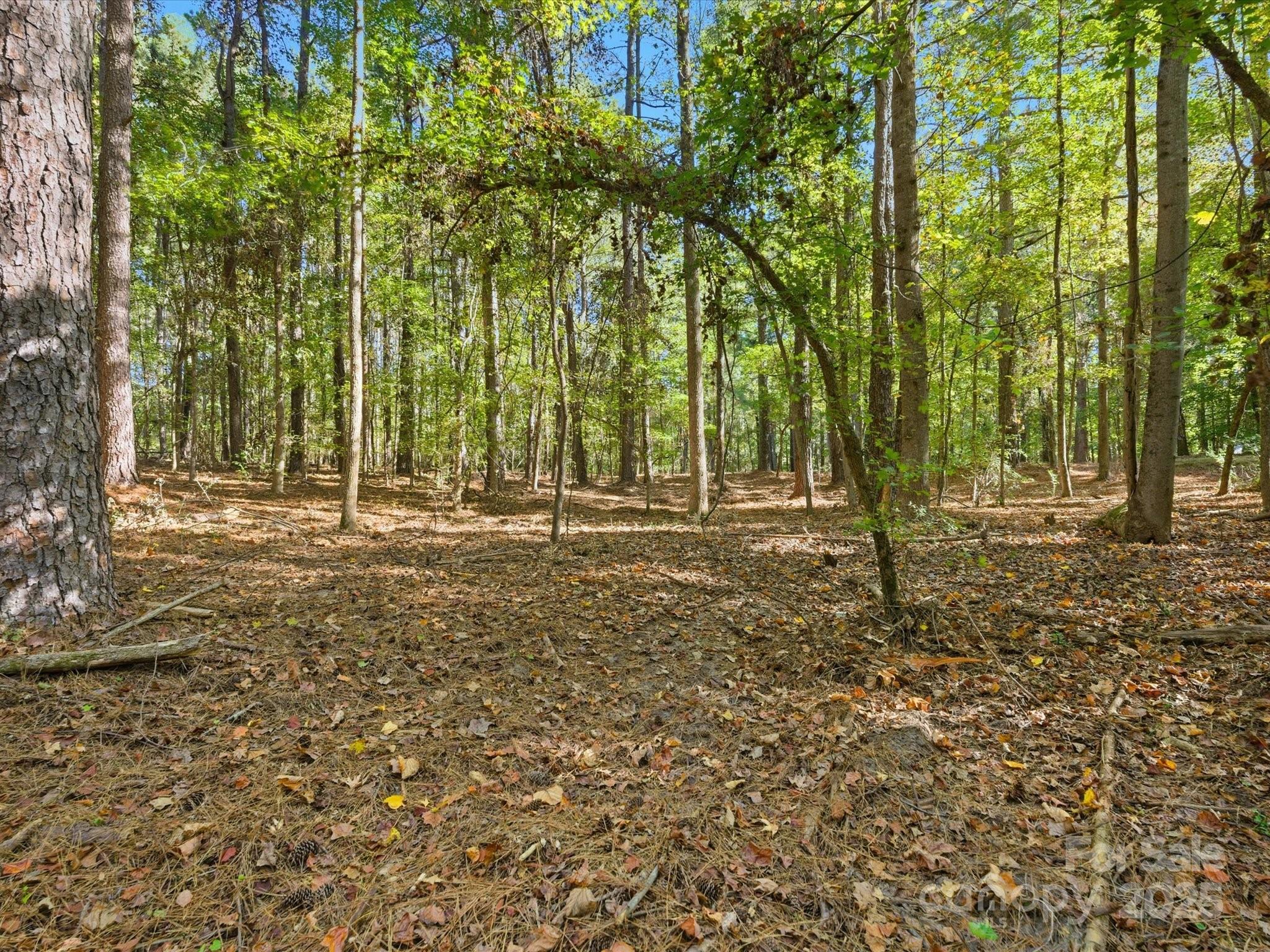00 Rehobeth Road — Waxhaw