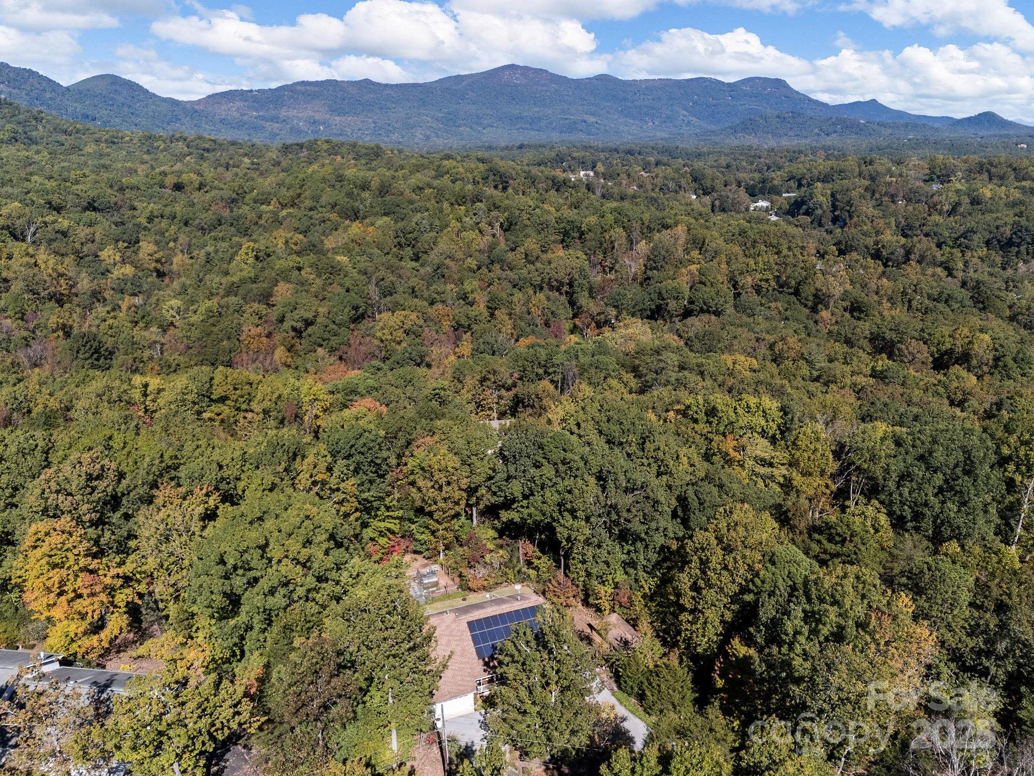 160 Caledonia Road — Landrum