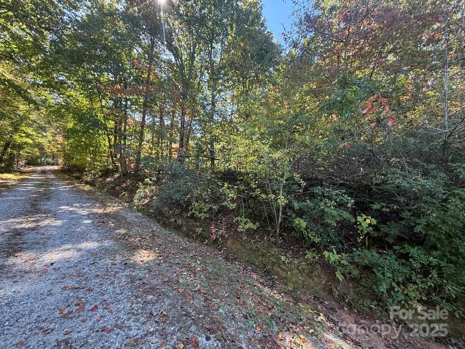 160 Caledonia Road — Landrum