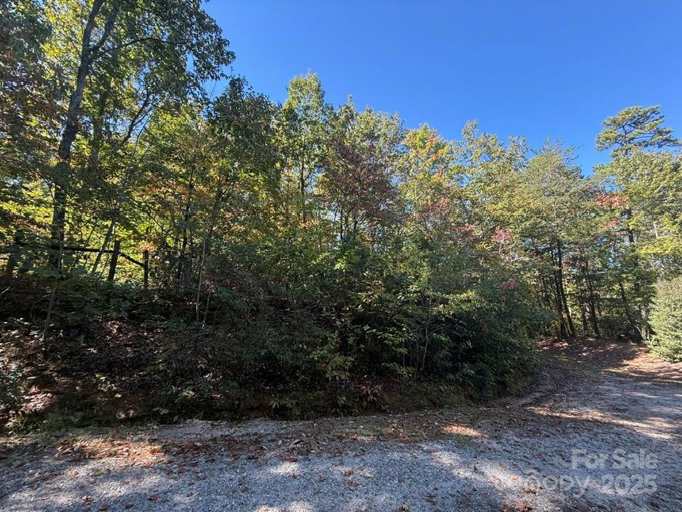 160 Caledonia Road — Landrum
