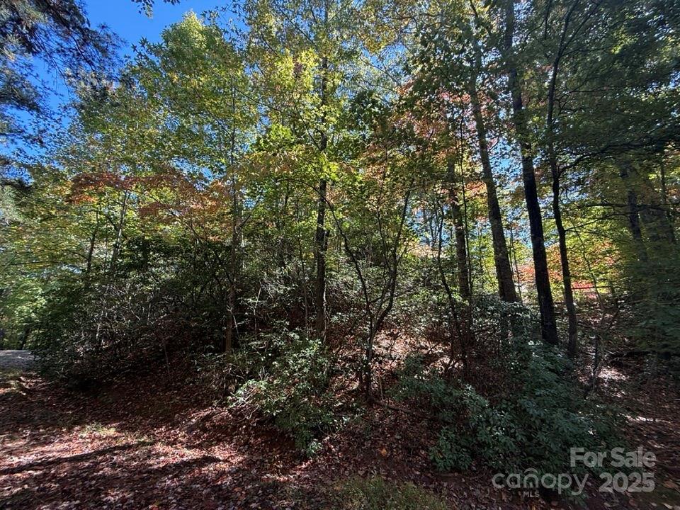 160 Caledonia Road — Landrum