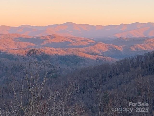 85 N Ridge Road — Rosman