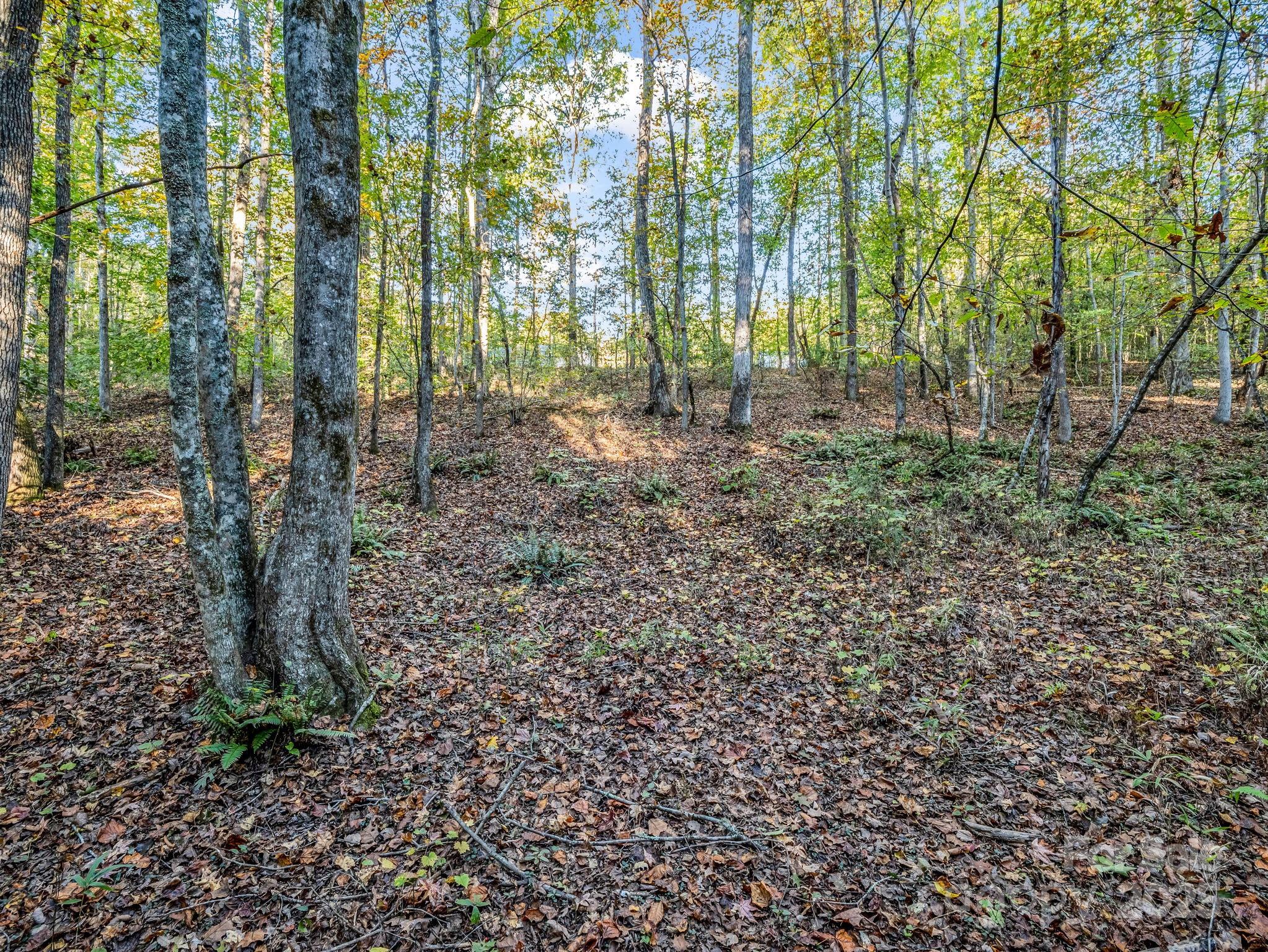 663 Landrum Road — Columbus