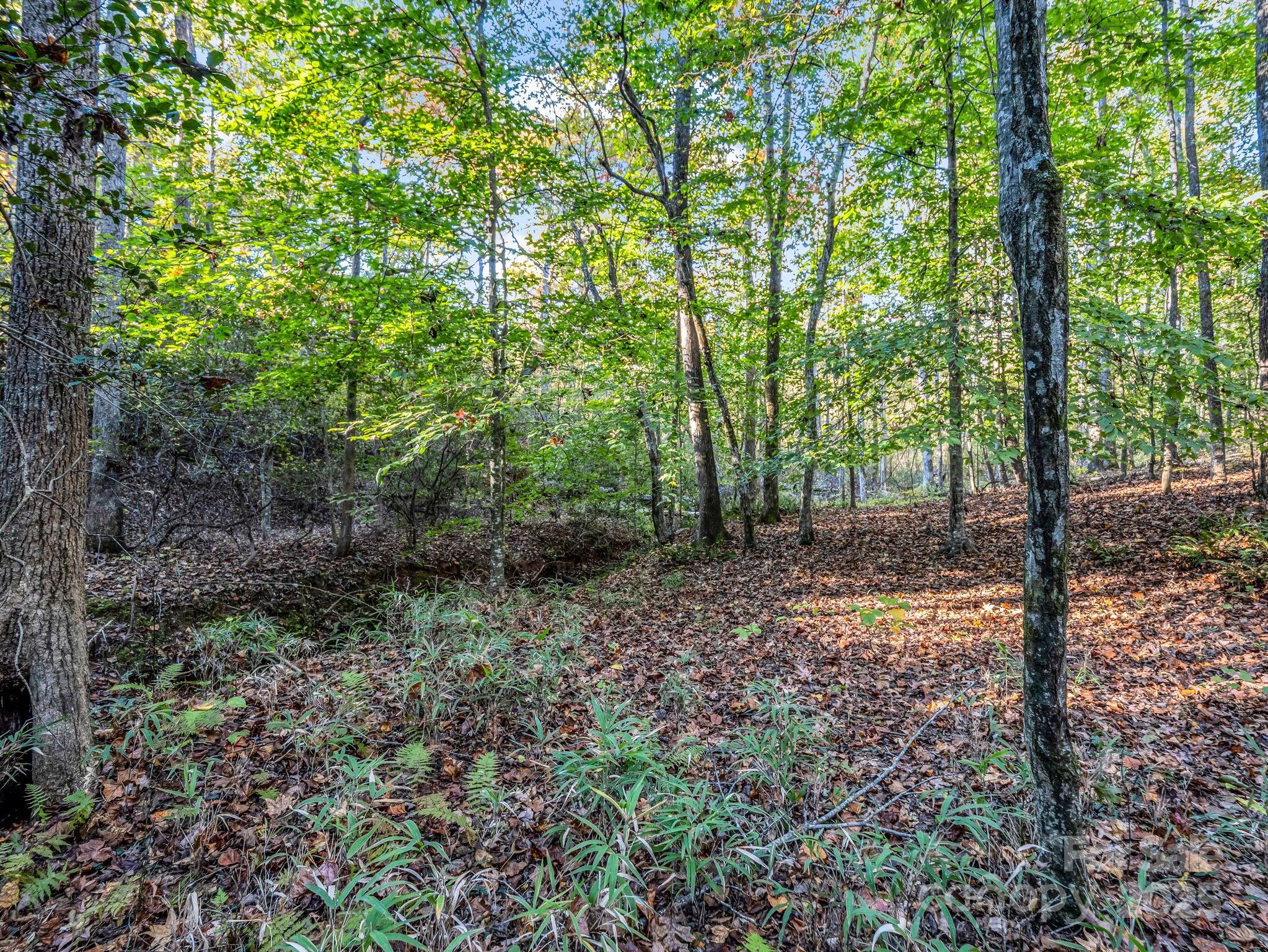 663 Landrum Road — Columbus
